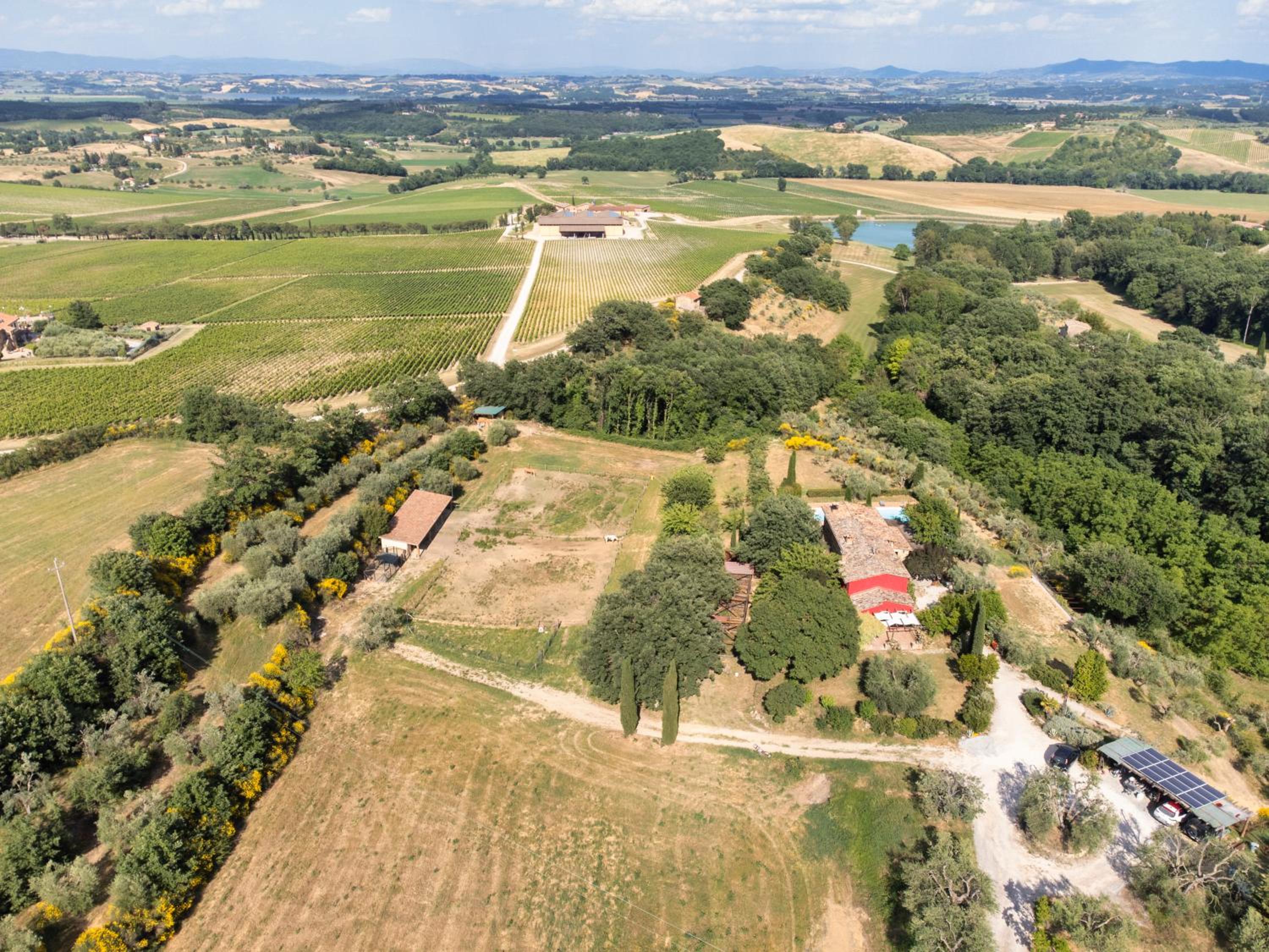 L'Aquila e L'Ulivo view 3