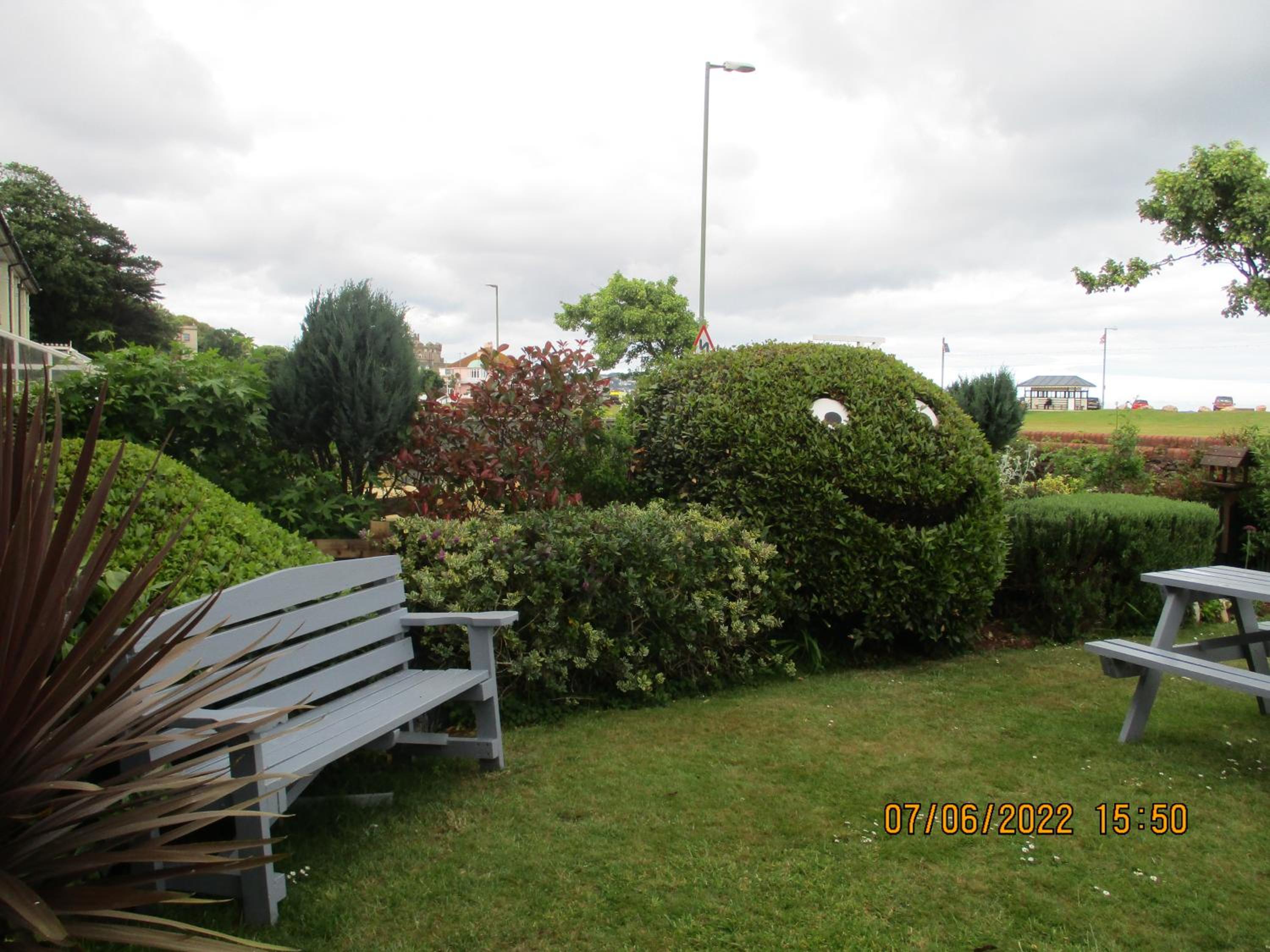 Photo 37