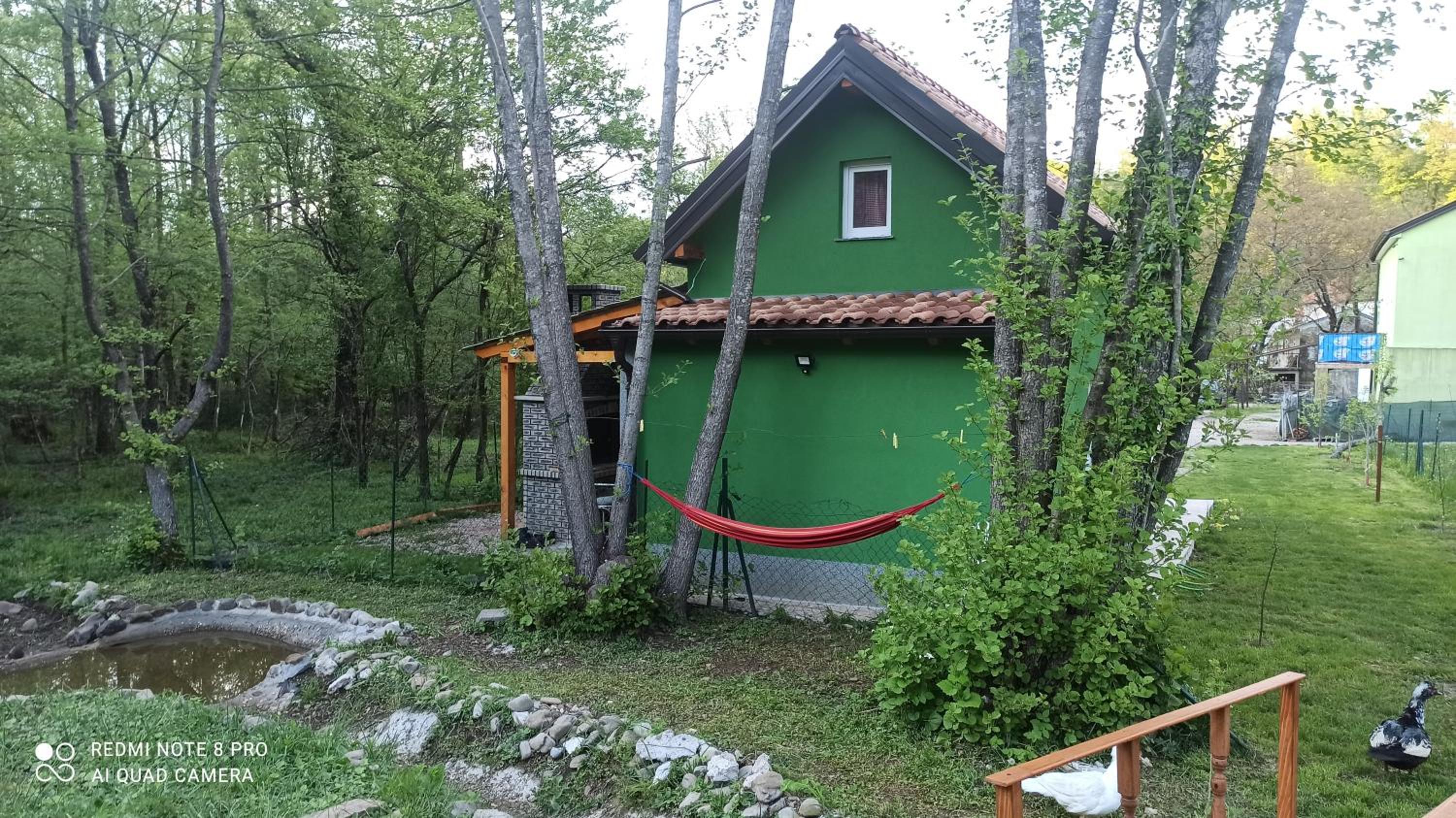 Green House view 5
