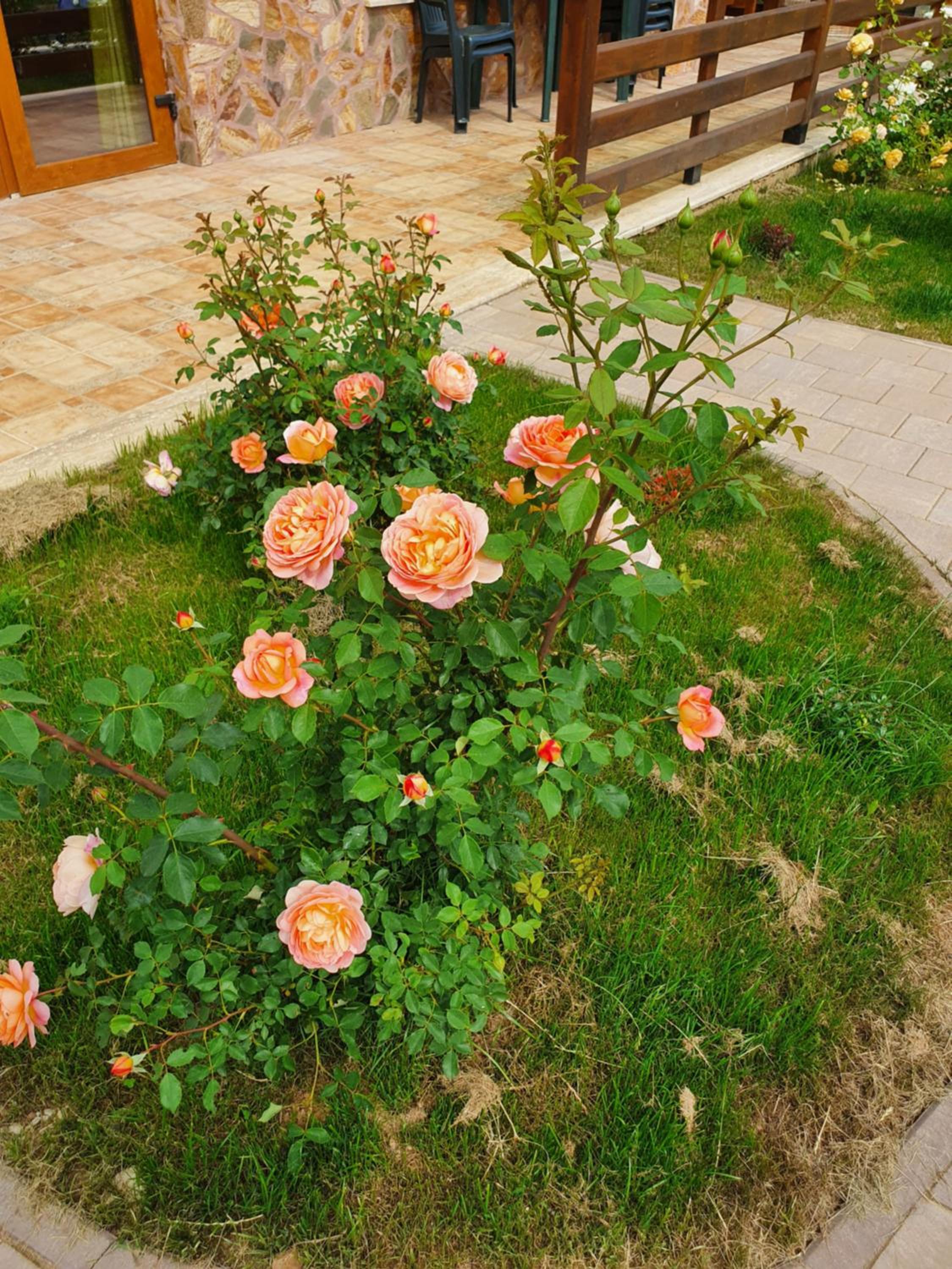 Photo 12