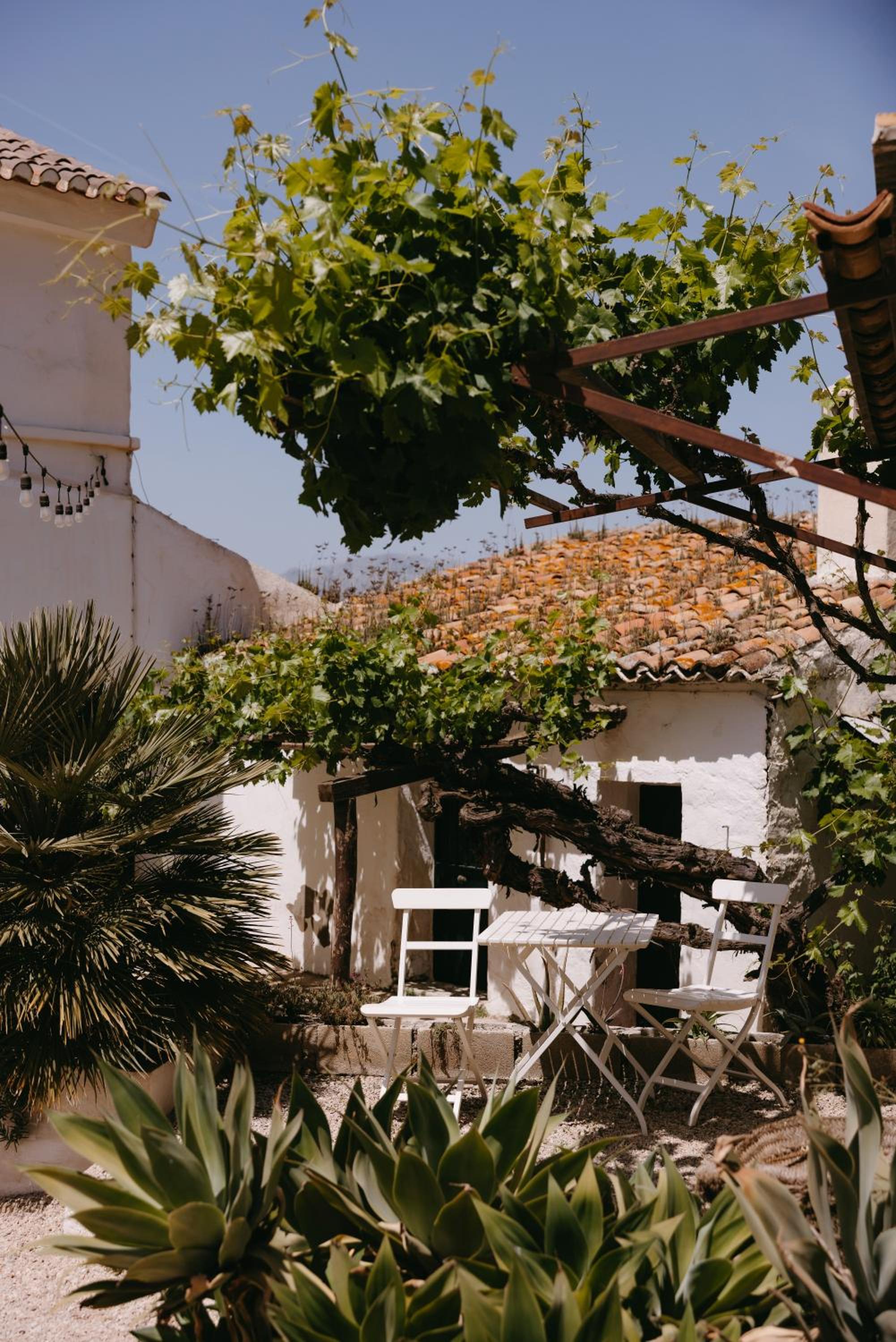 Photo 42