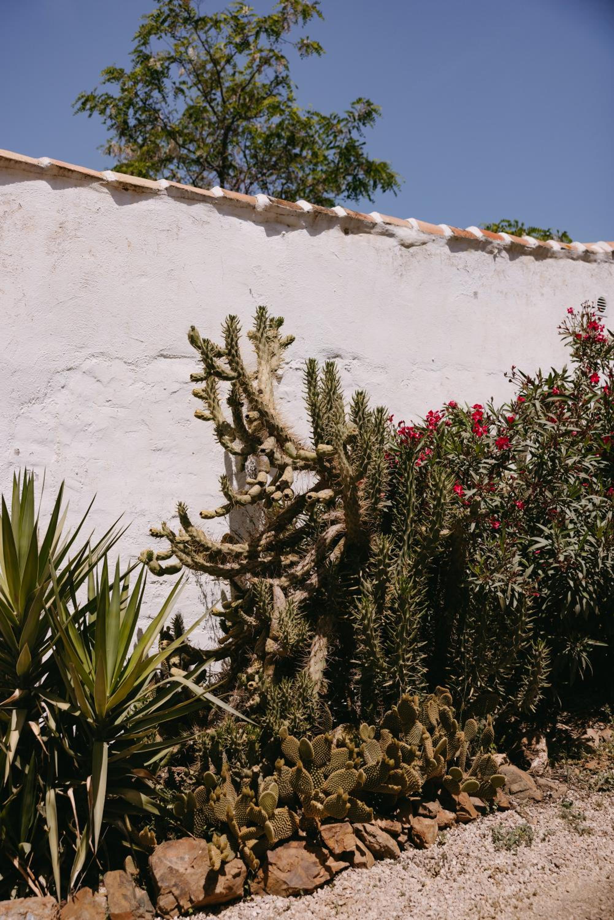 Photo 46