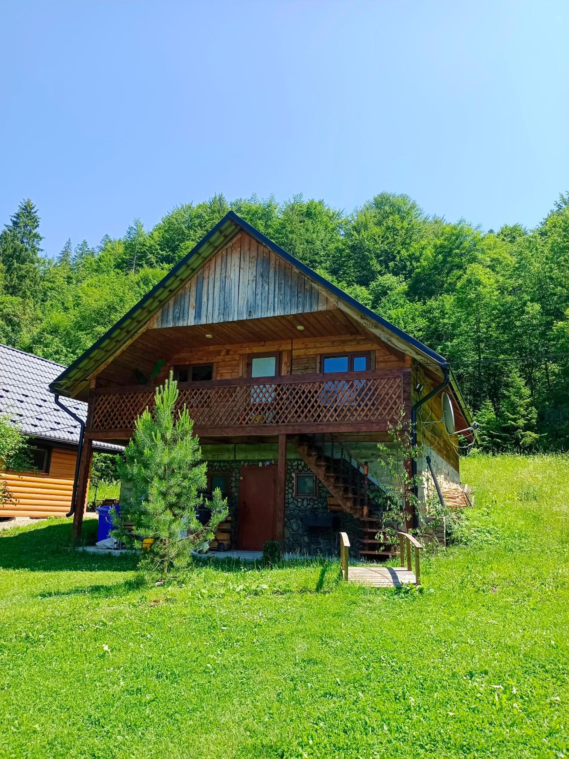 Photo 6