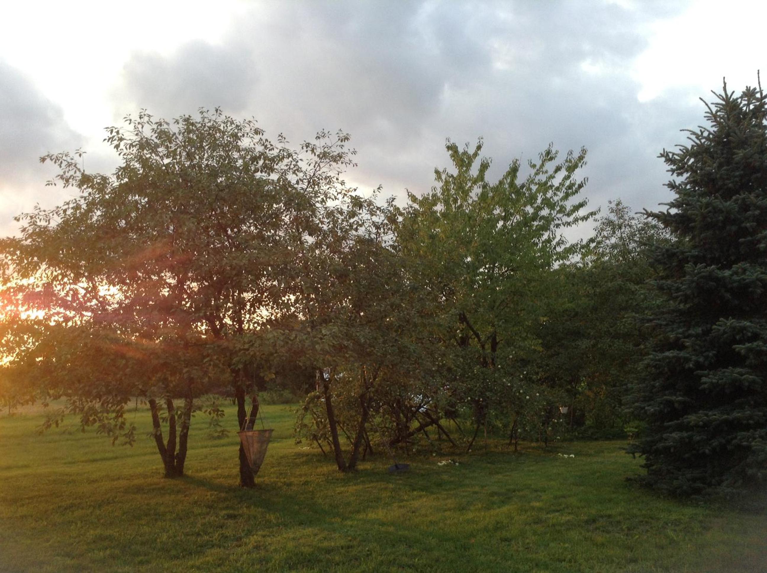 Photo 10