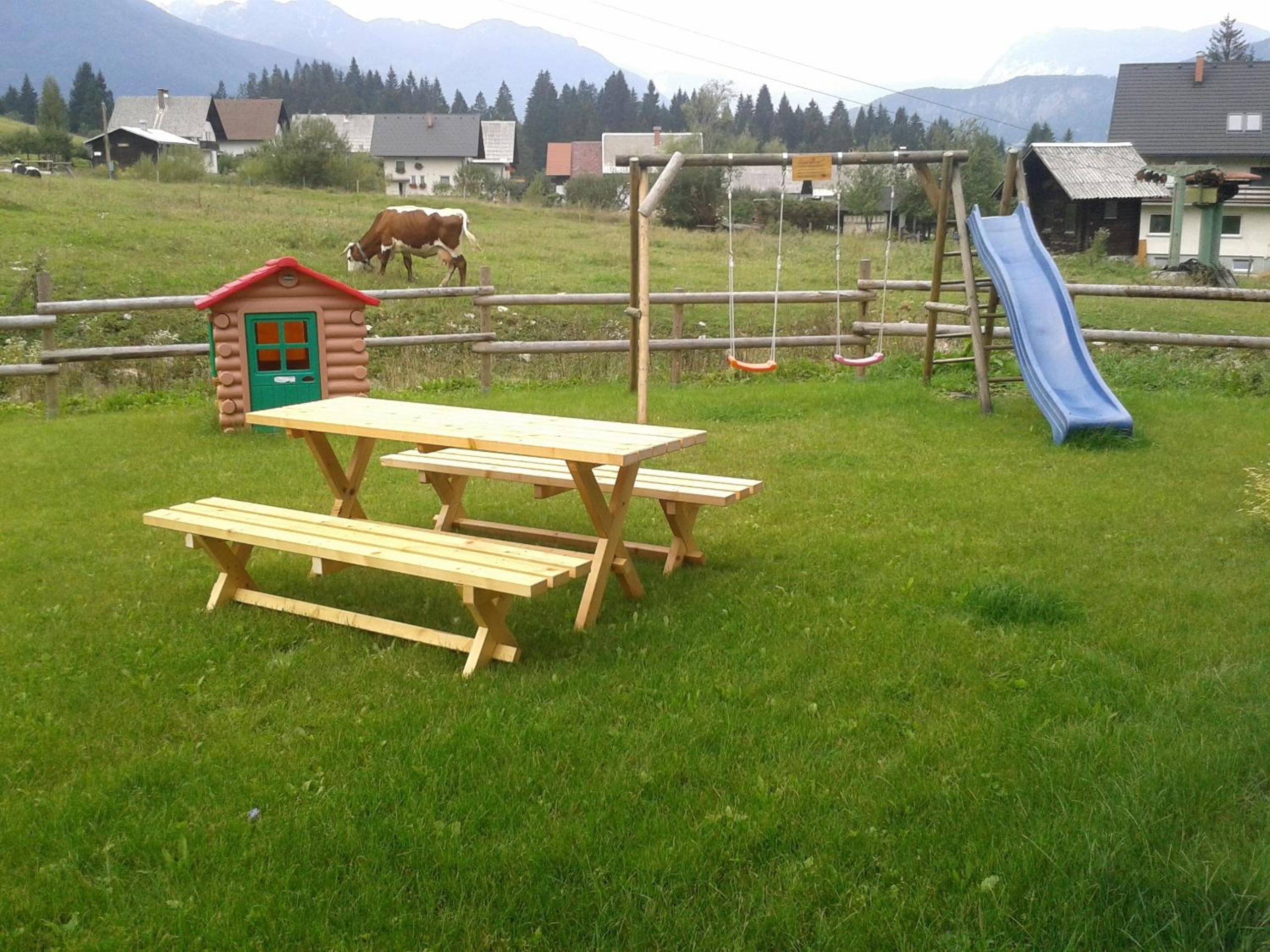 Apartments Bor view 2