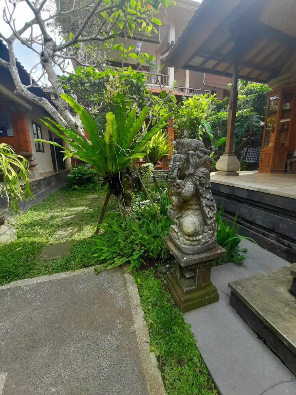 Photo 17