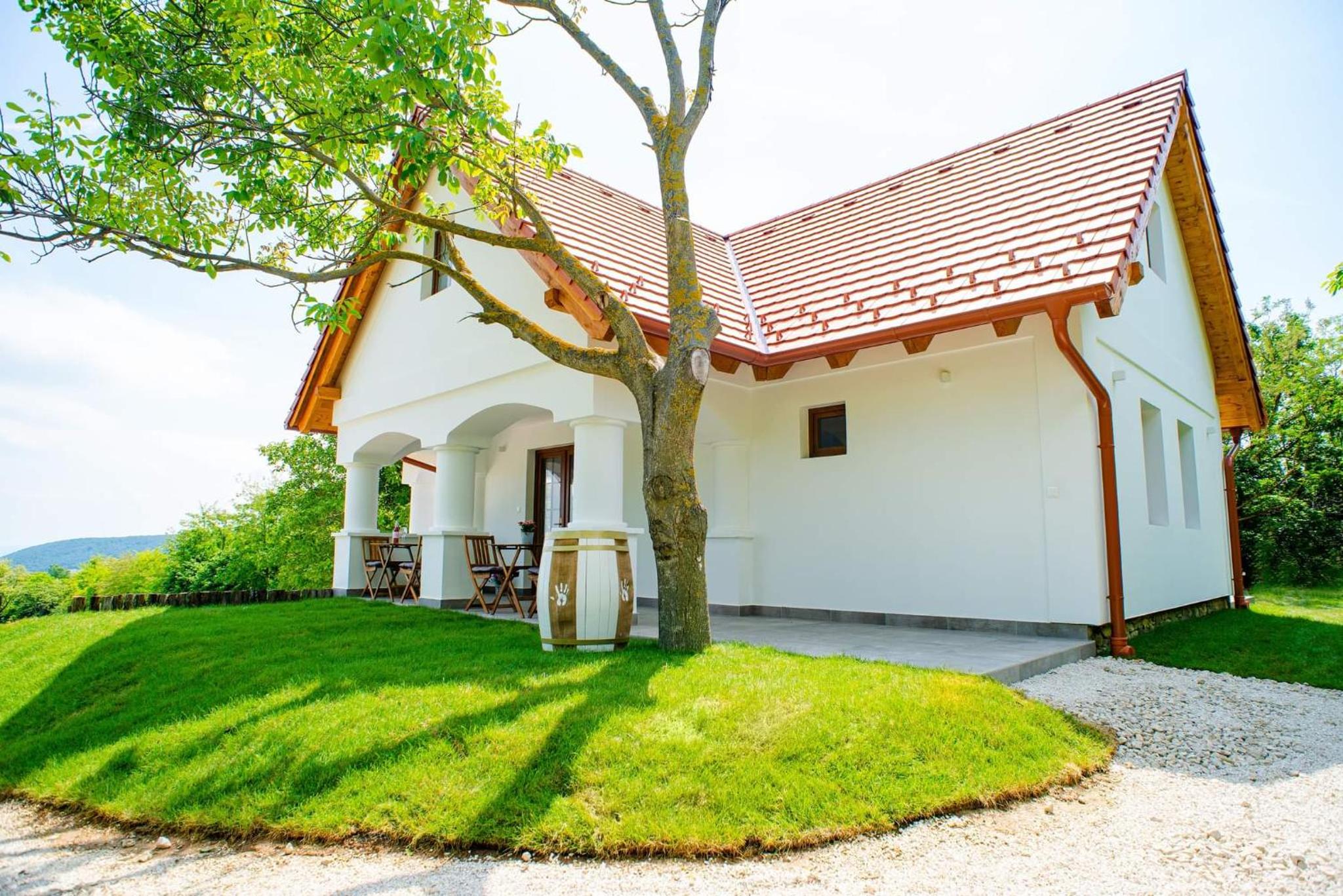 Balatoncsicsói Borhaz view 4