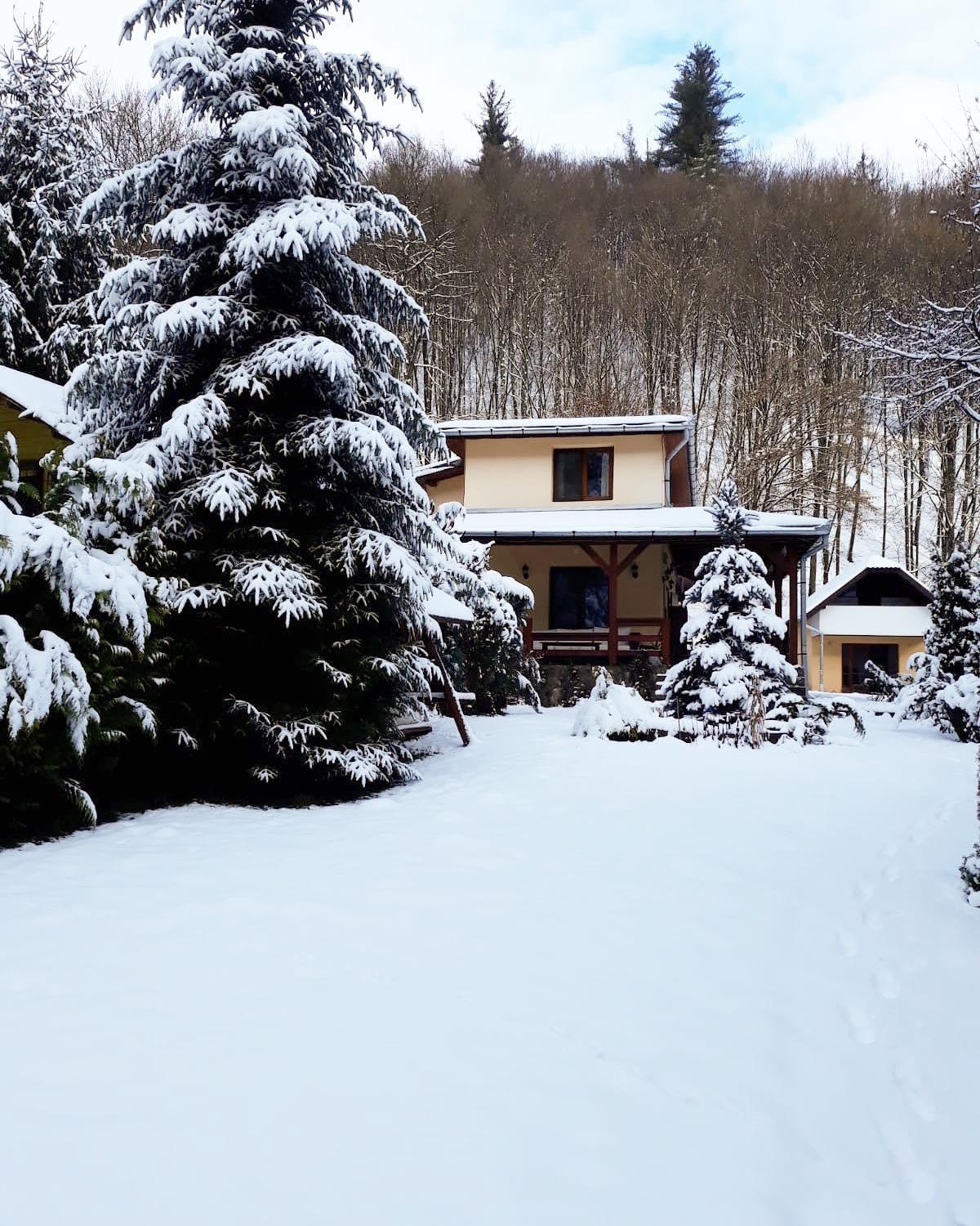 TreeHouse view 2