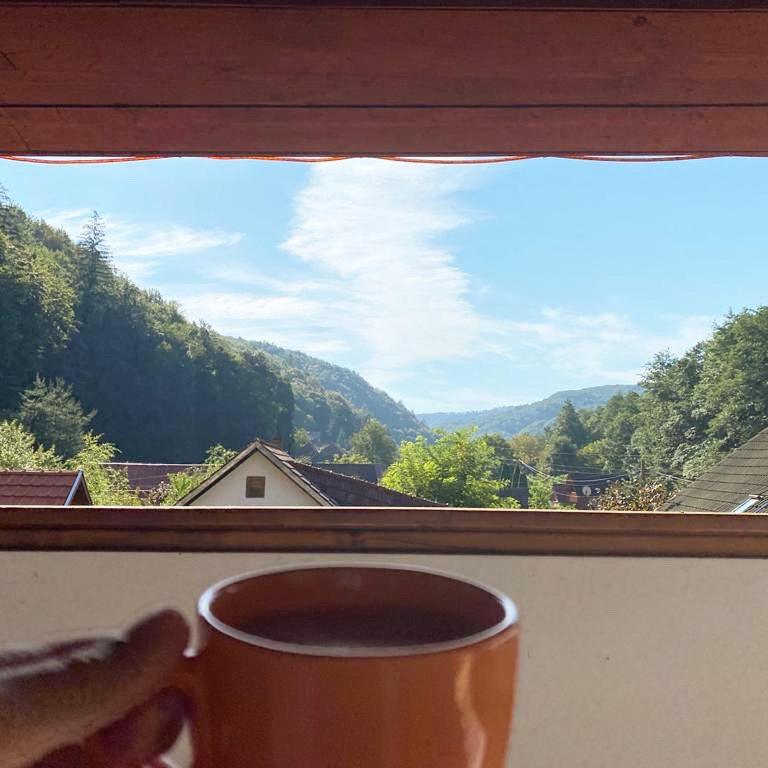 TreeHouse view 3
