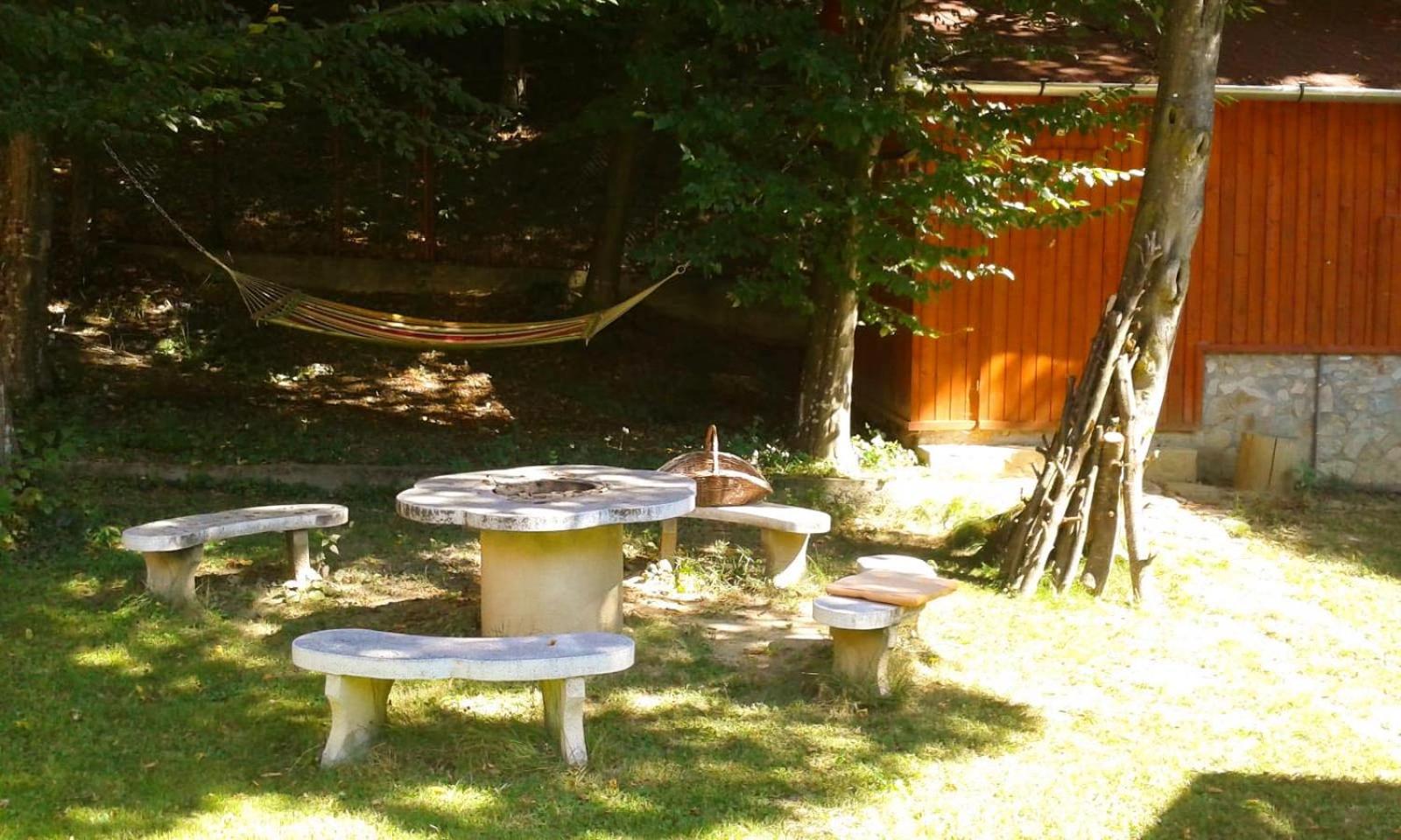 TreeHouse view 5