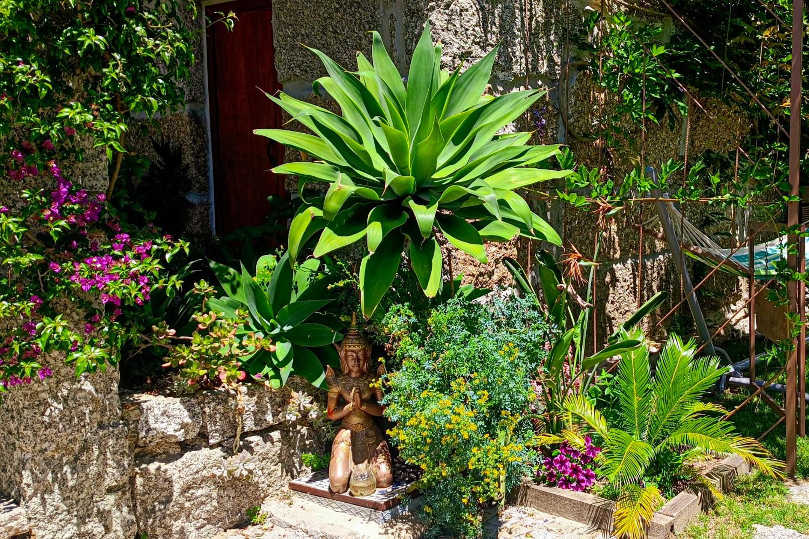 Casa da Benfeitoria view 5