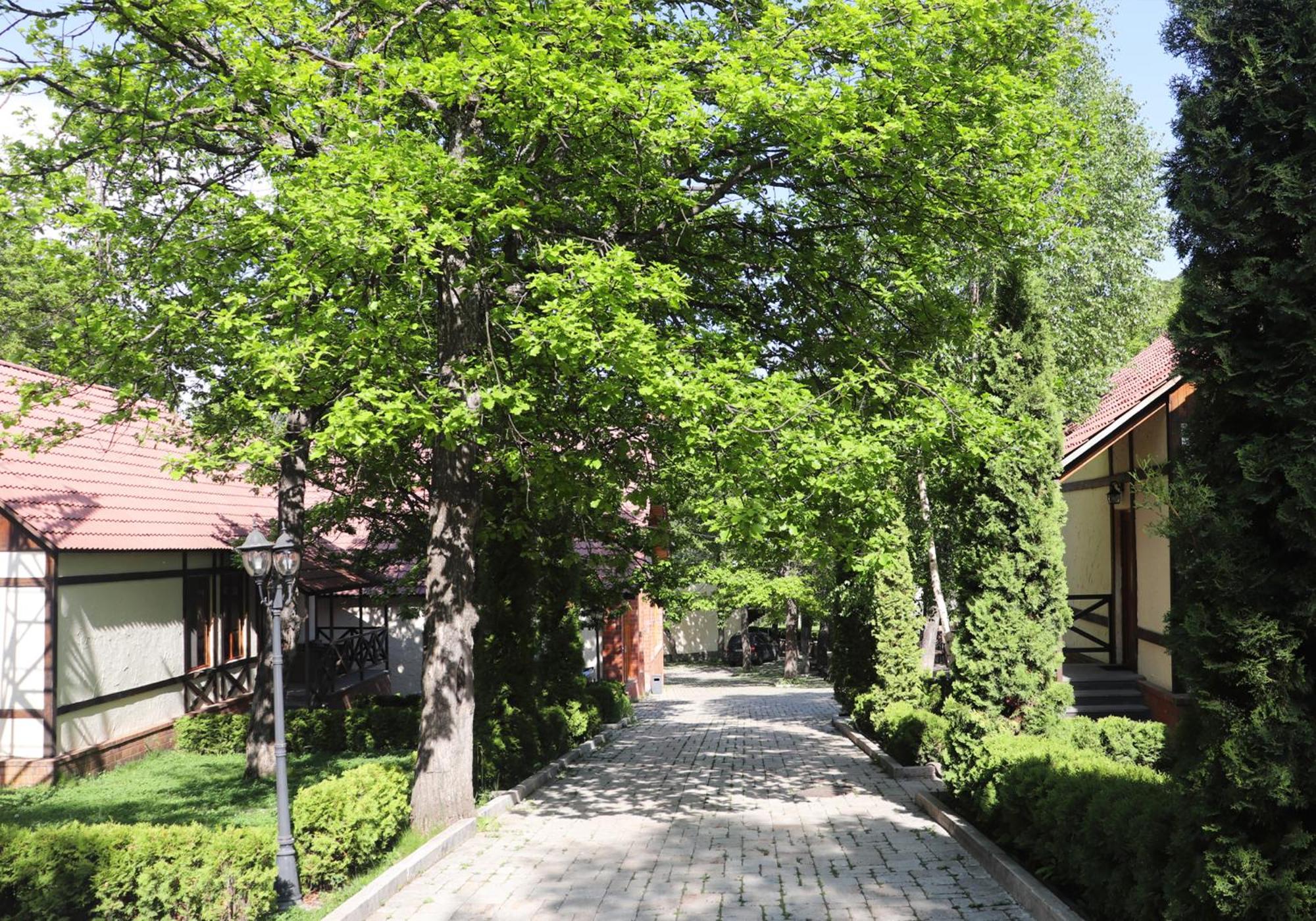 Splendor Resort and Restaurant