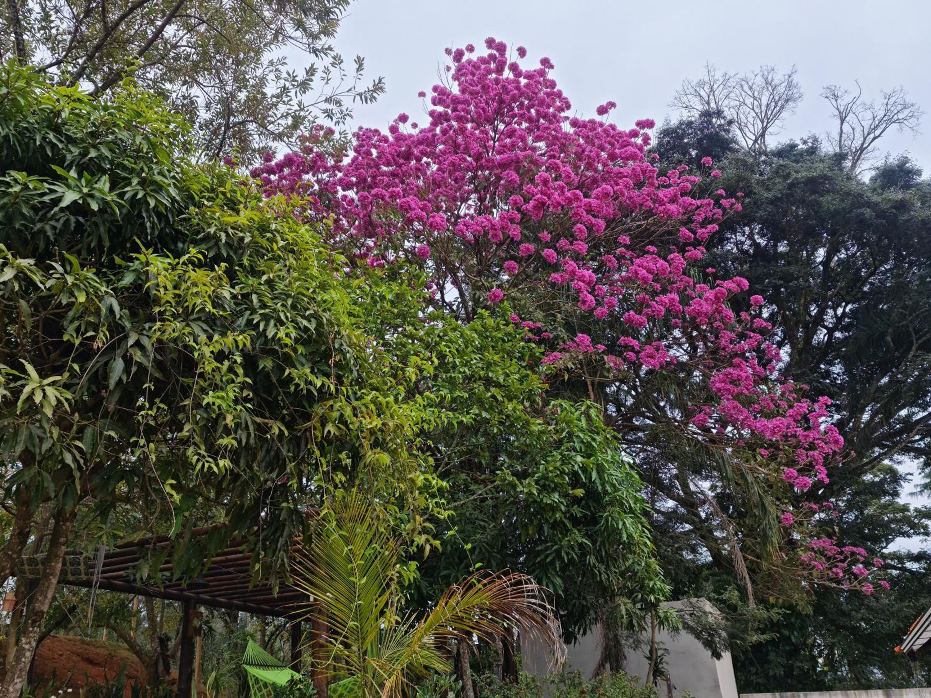 Pousada Descobrindo a Vida