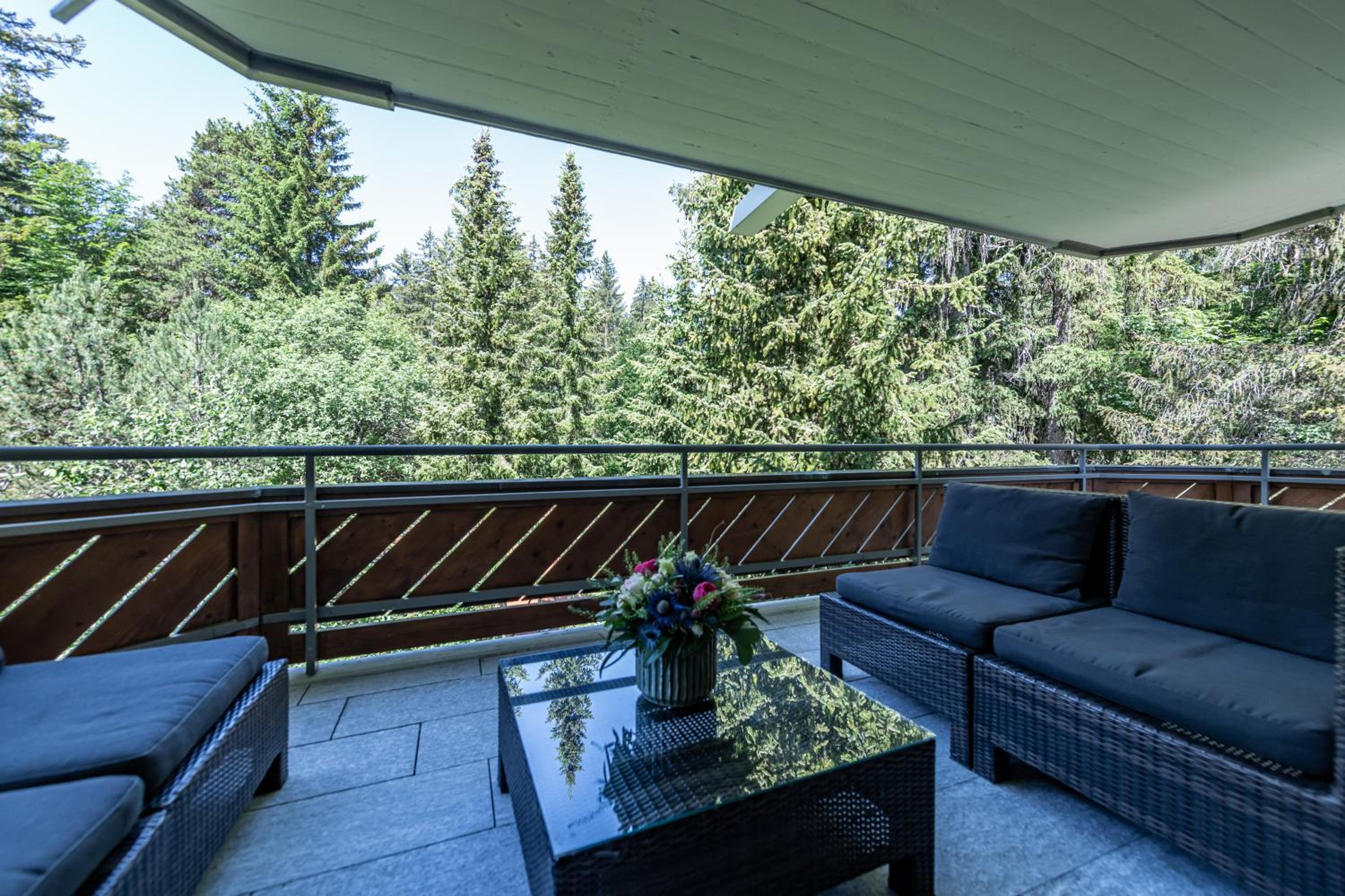 Chalet Belmont