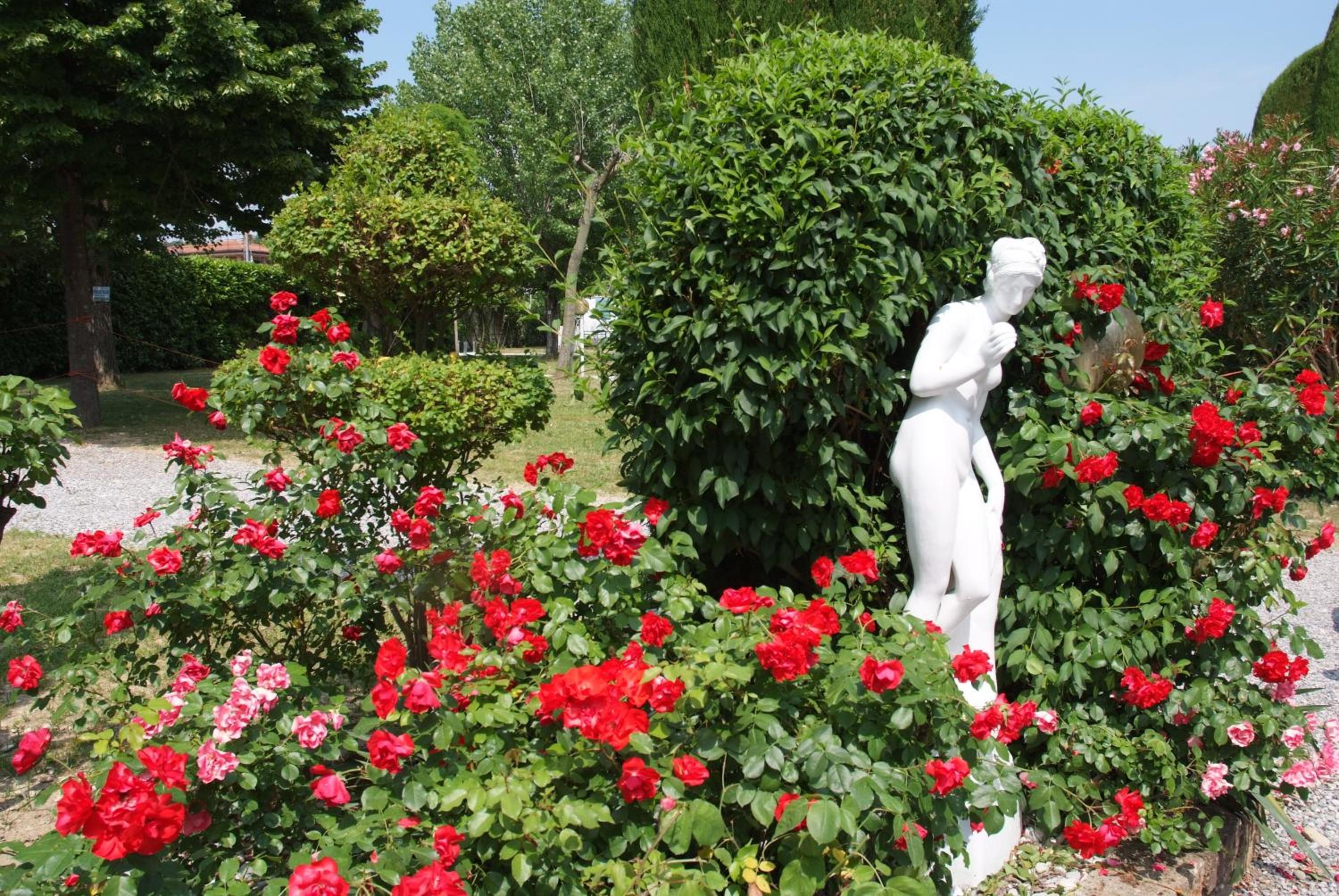 VILLA GARUTI VILLAGE, photo 8