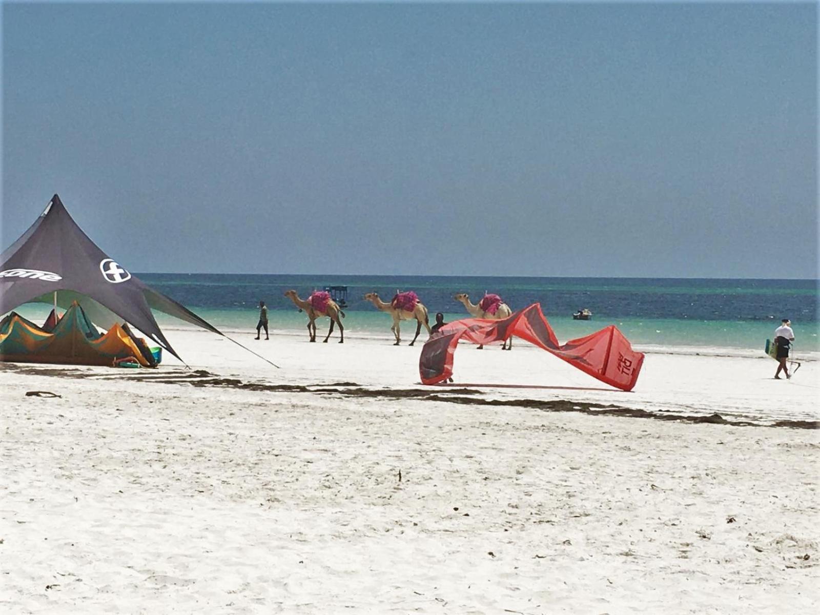 Galu Gardens Apartments Diani Beach