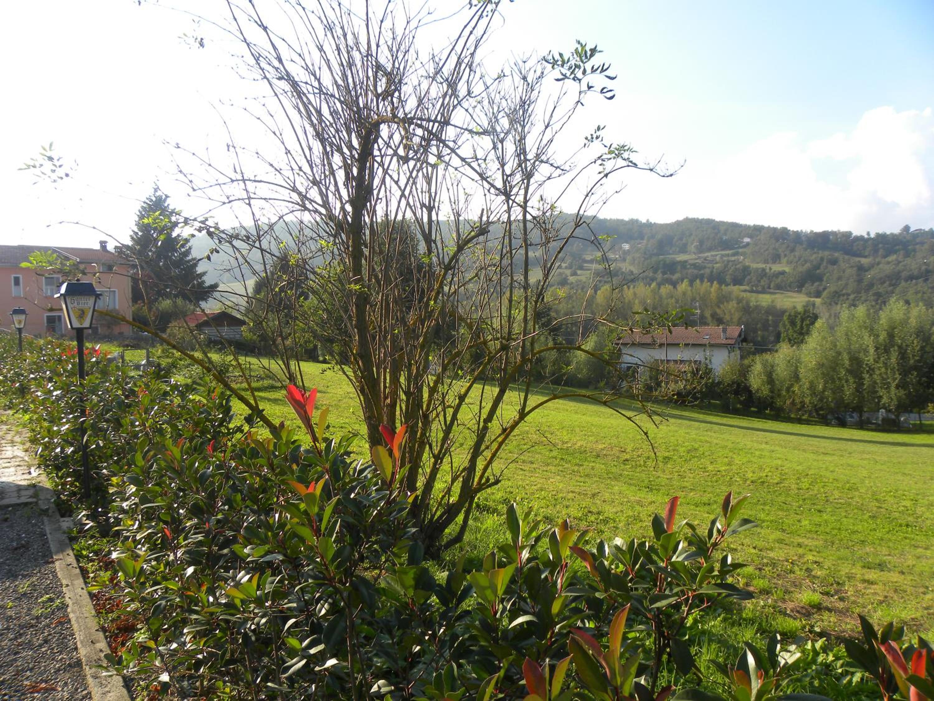 La Castagna Matta