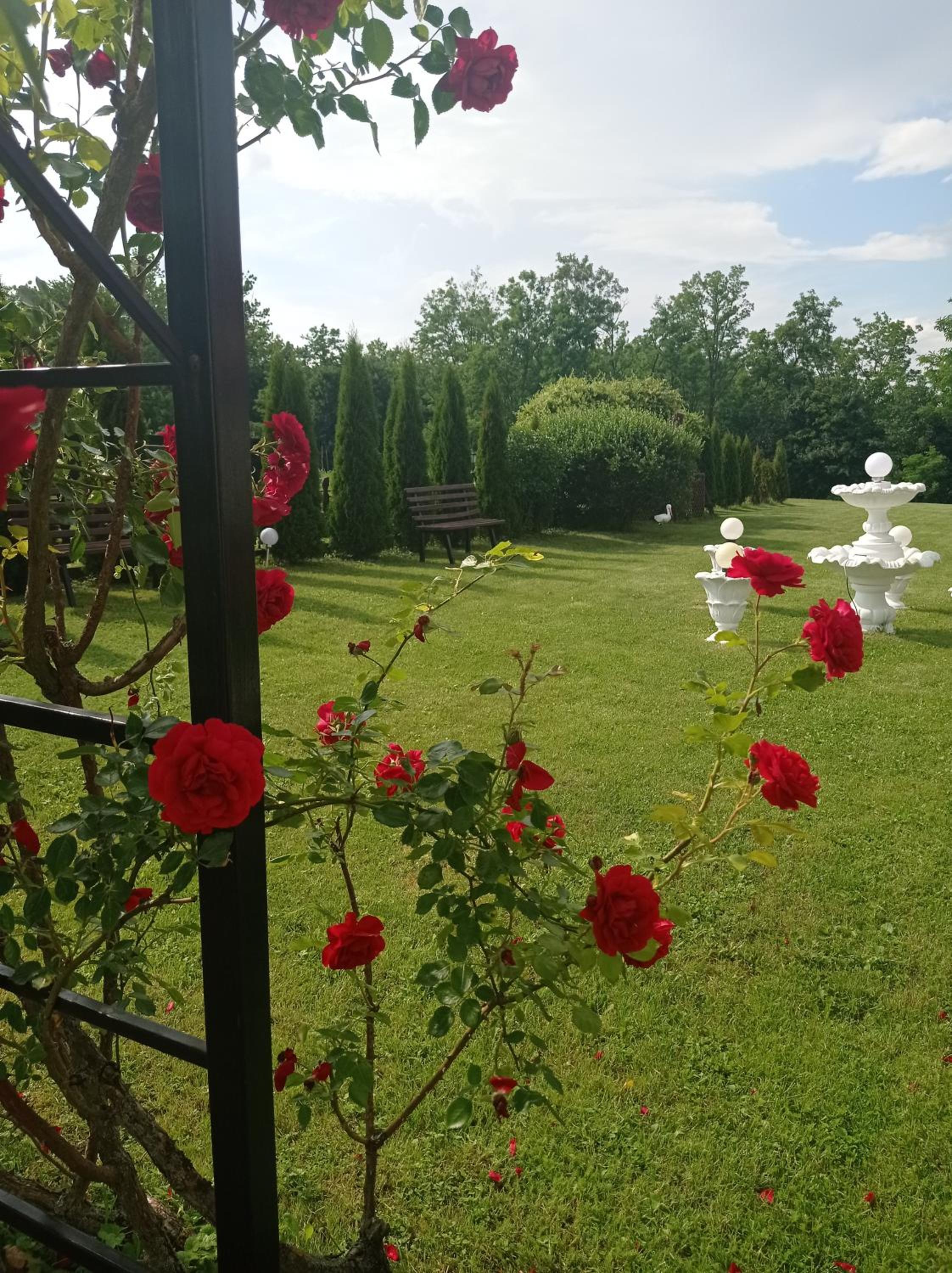 Photo 33