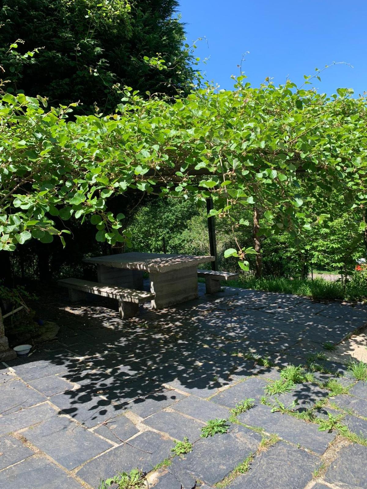 Finca in mitten der Natur. view 2