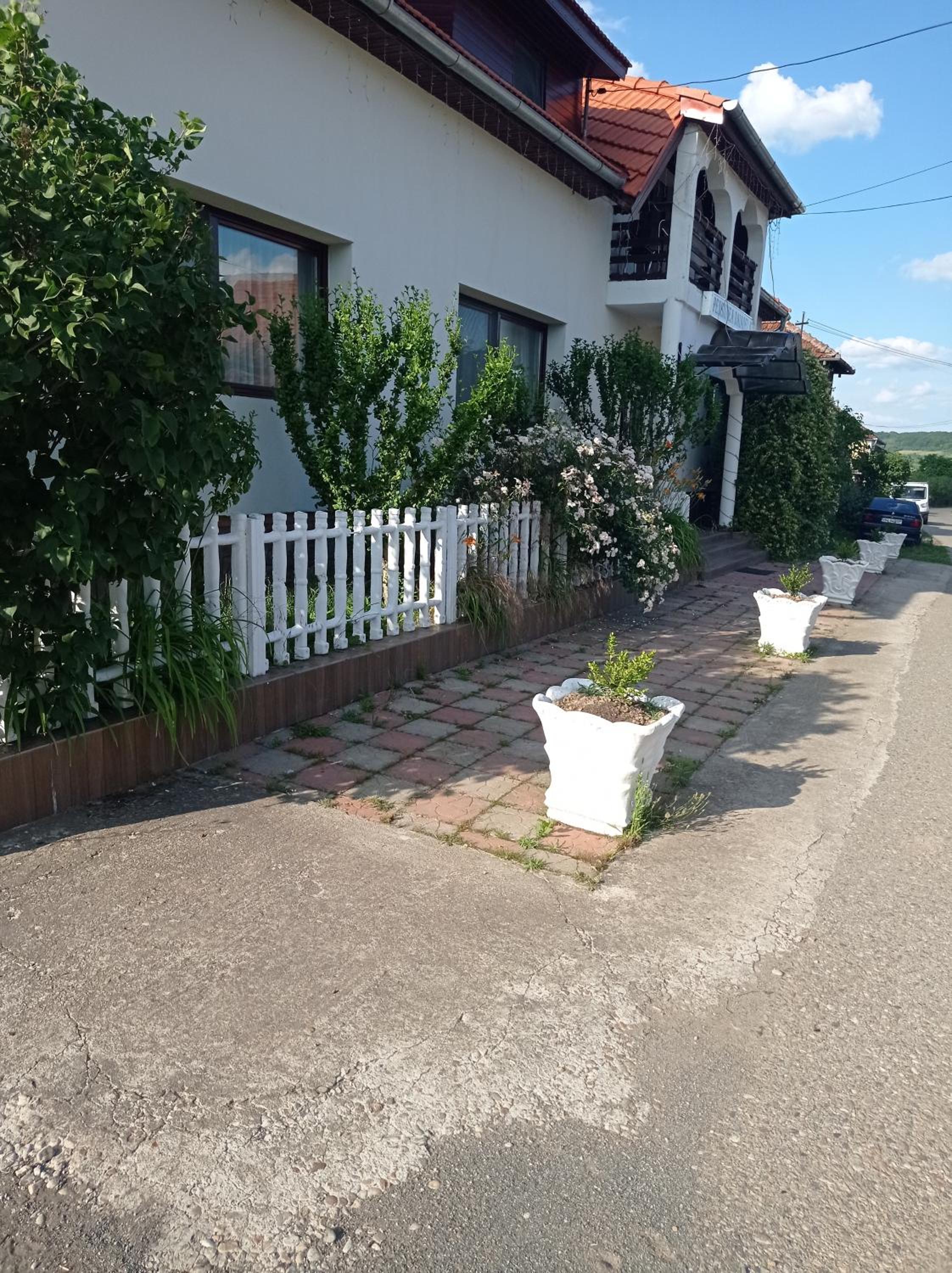 Photo 37