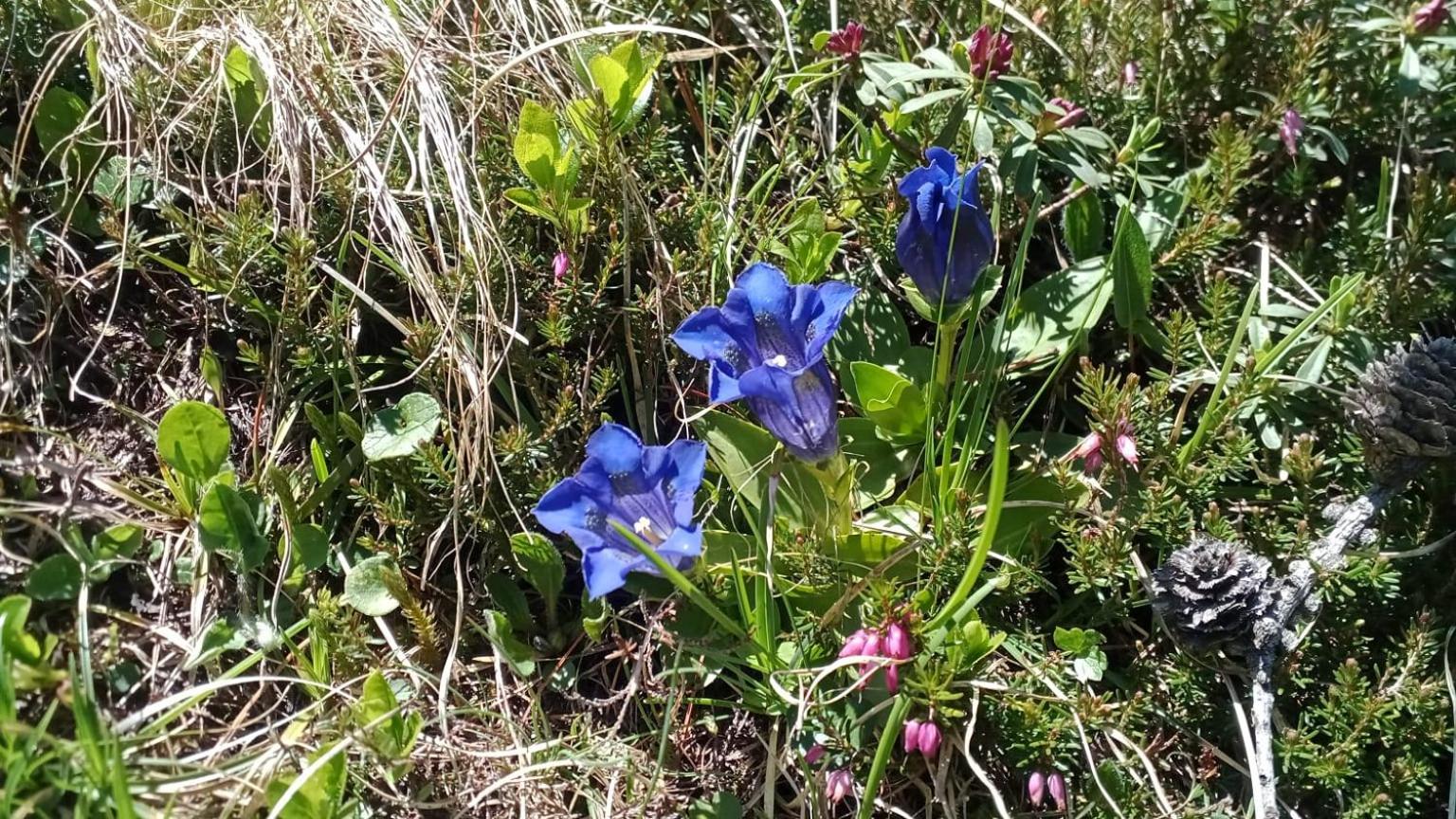 Photo 13