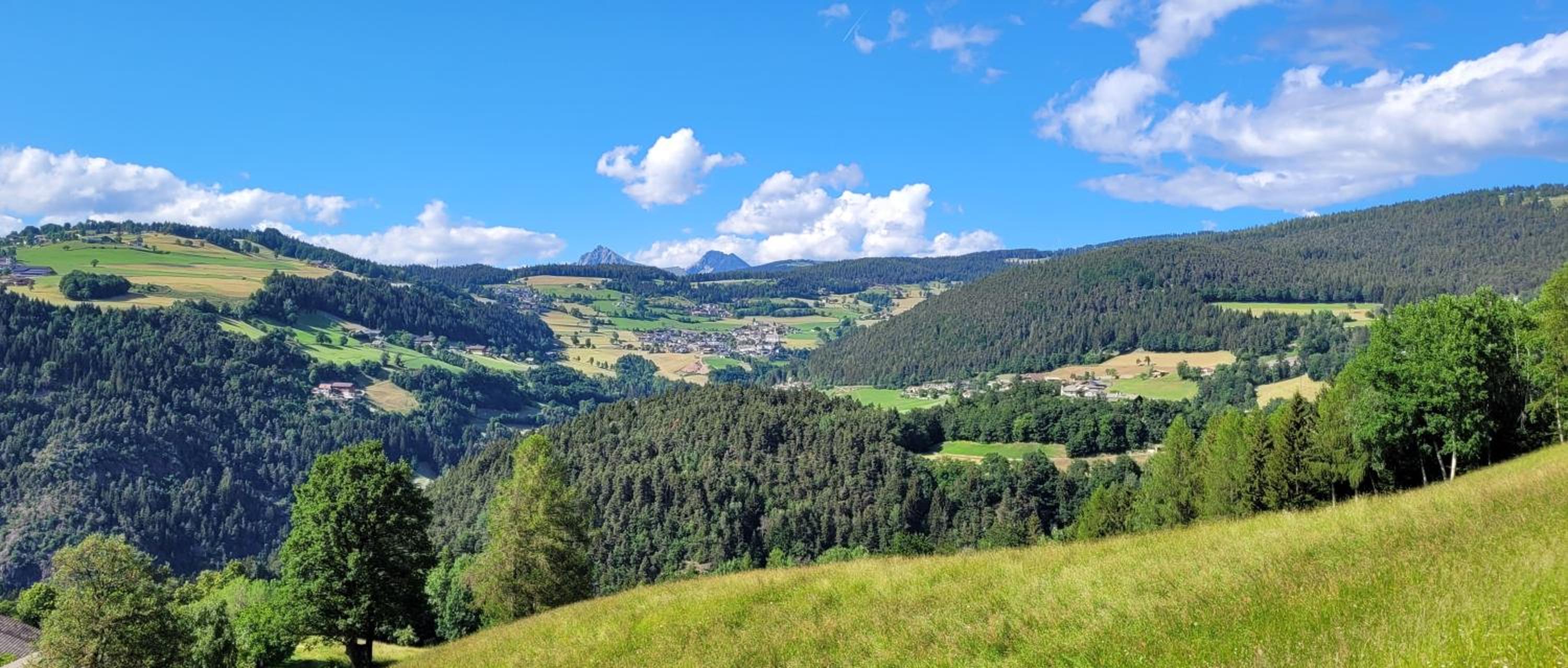 Waldhof