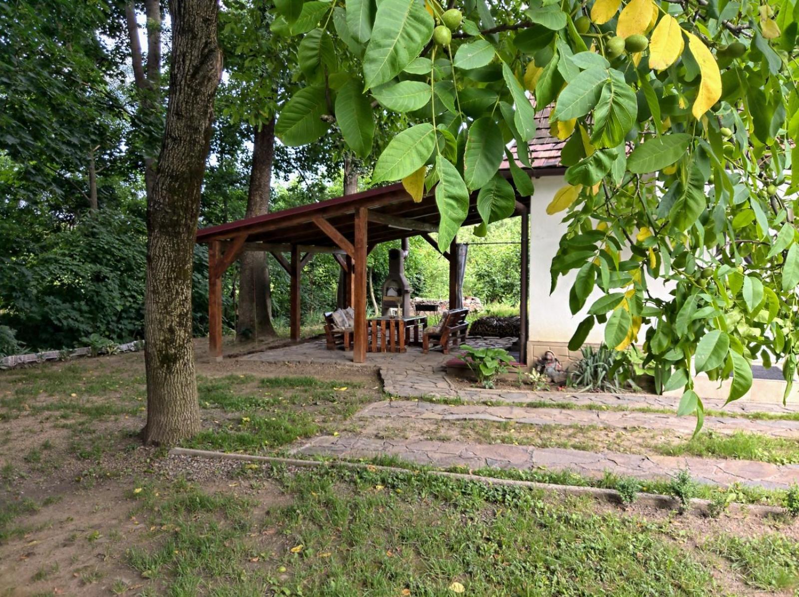 Photo 41