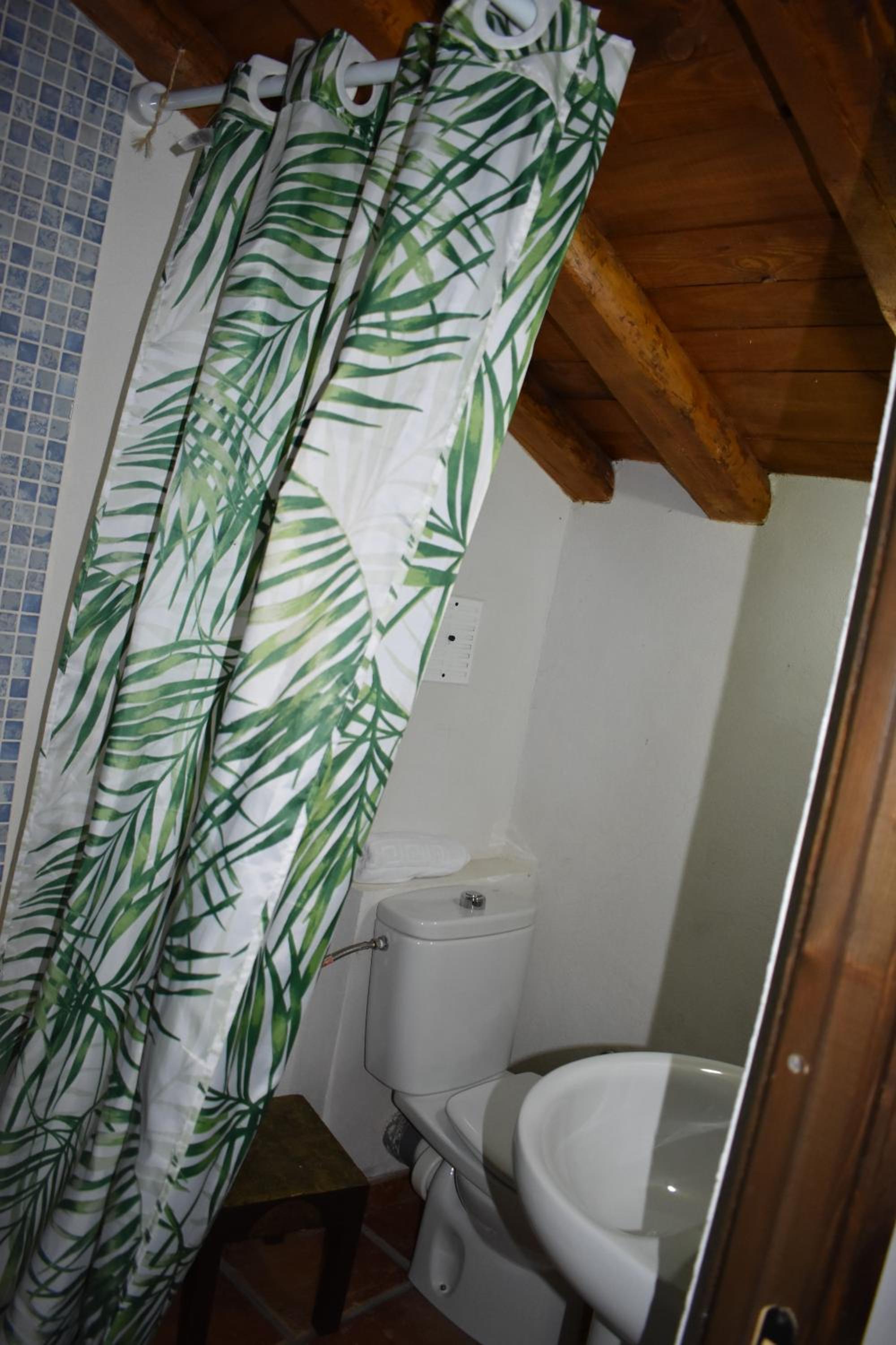 Photo 38