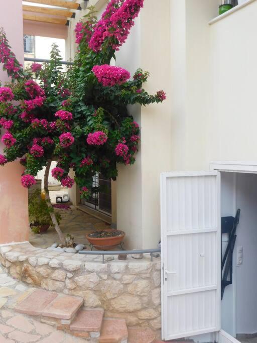 Hotel Studio Epicuros - Image 1