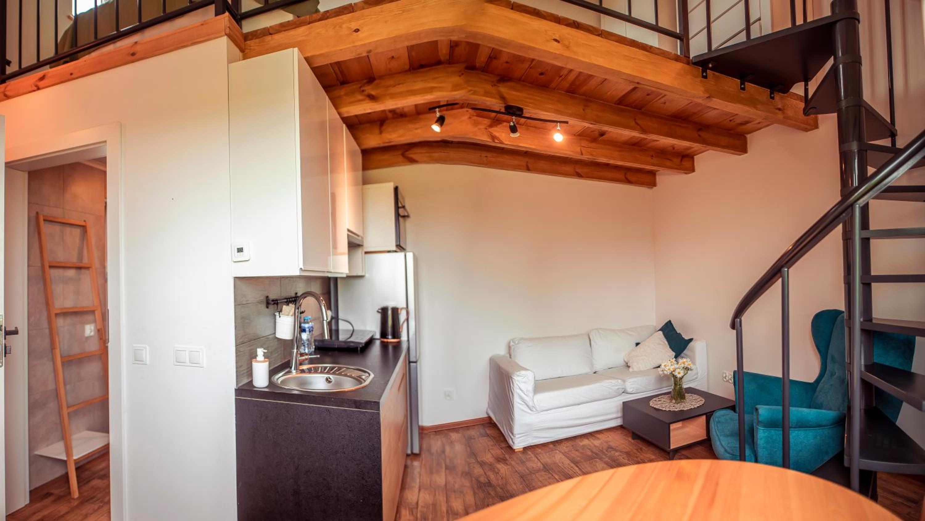 Zimna Apartments view 2