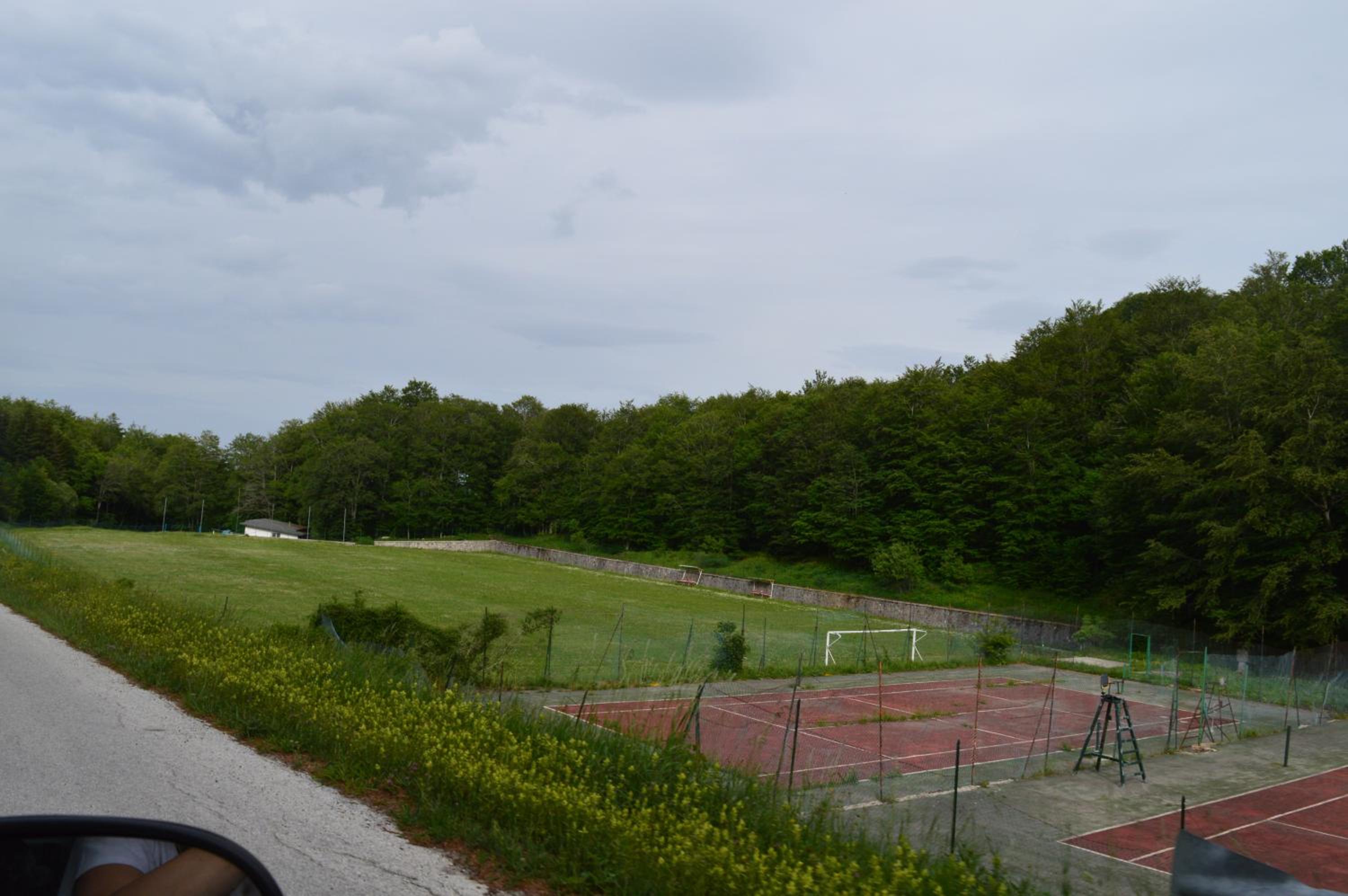 Photo 8