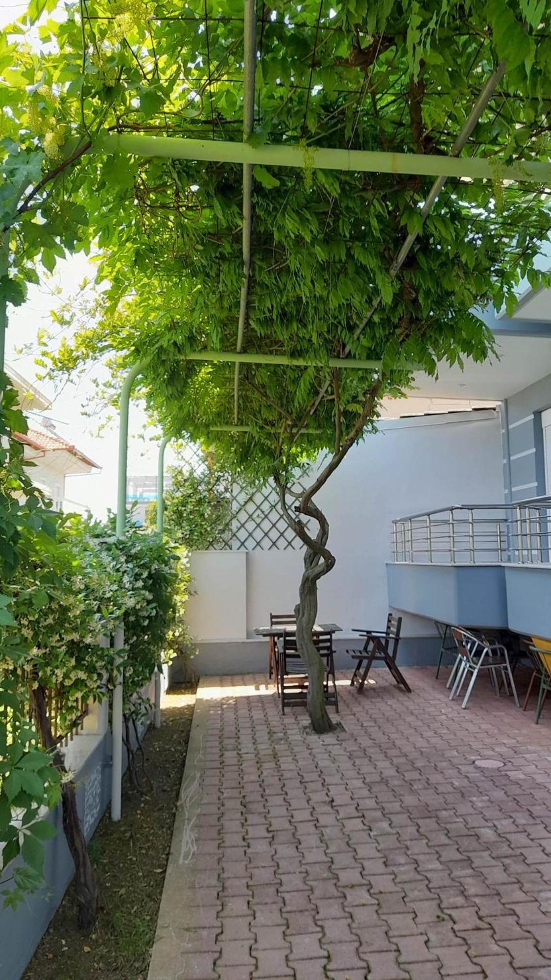 Photo 31