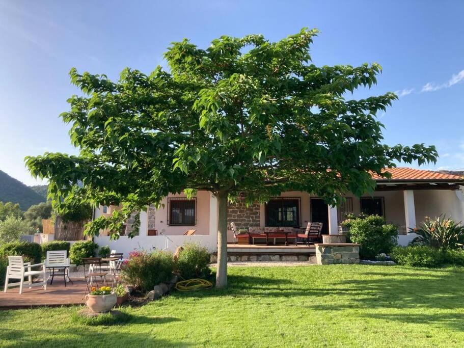 Countryside villa in Sardinia