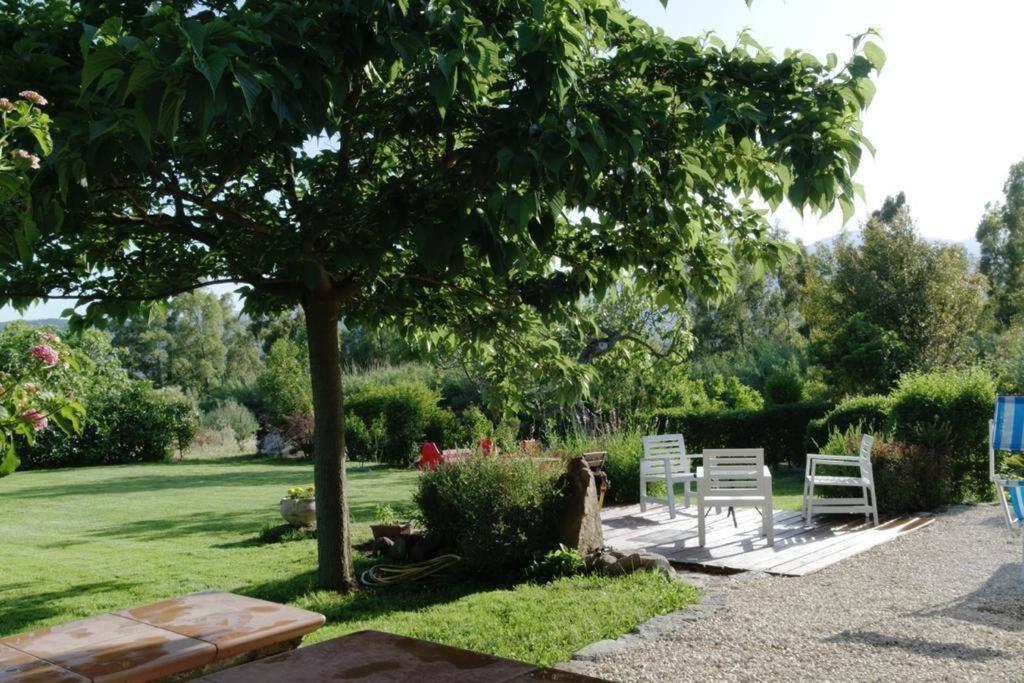 Countryside villa in Sardinia