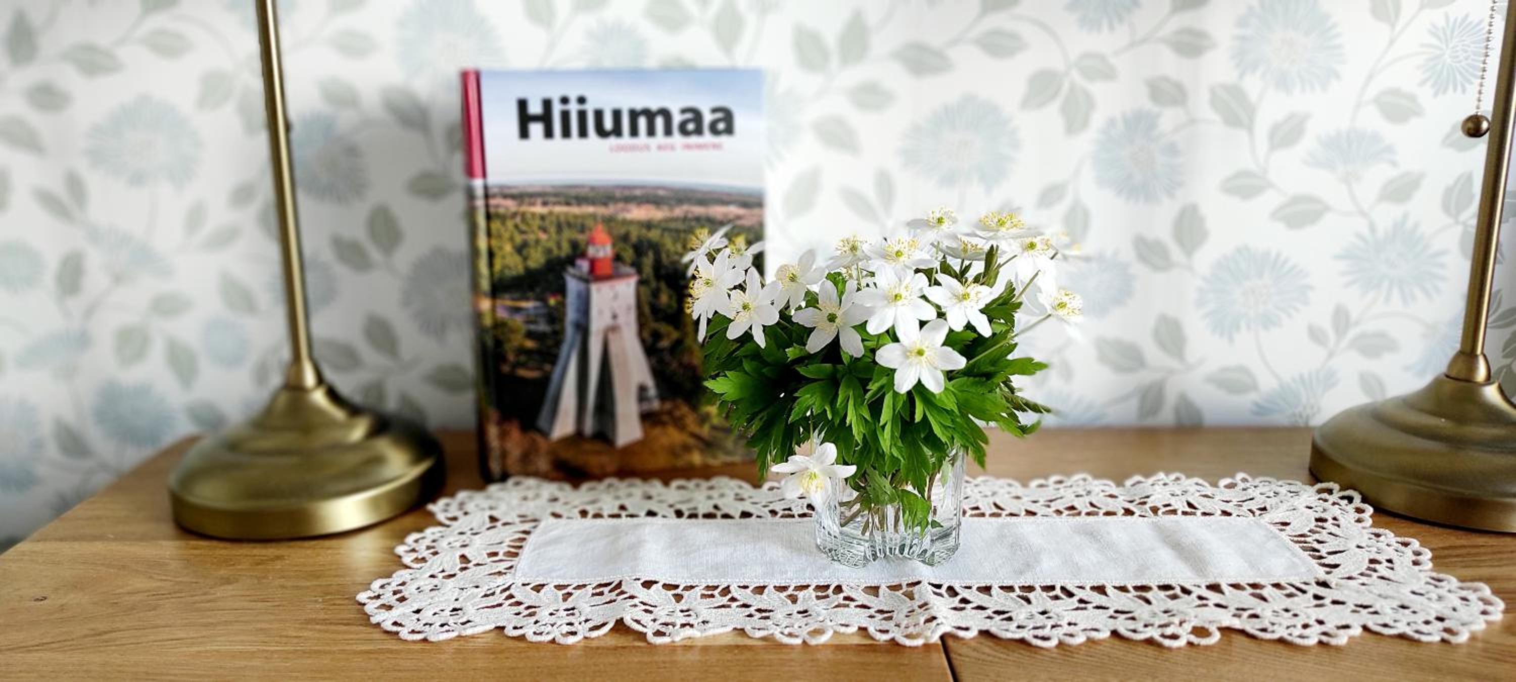Meie Hiiumaa majutus Kärdlas view 4