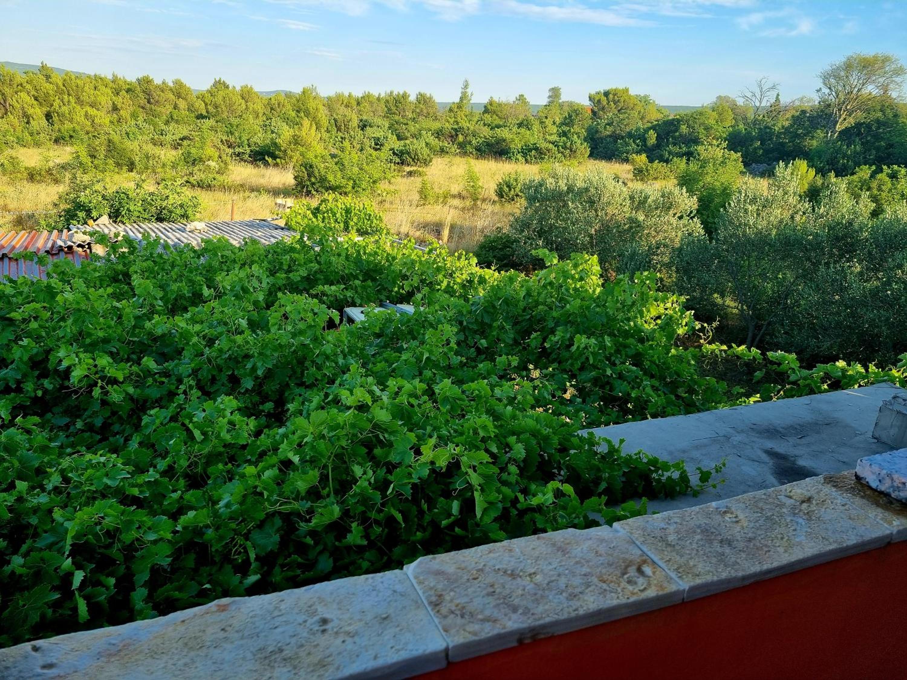 Jimis Apartmani