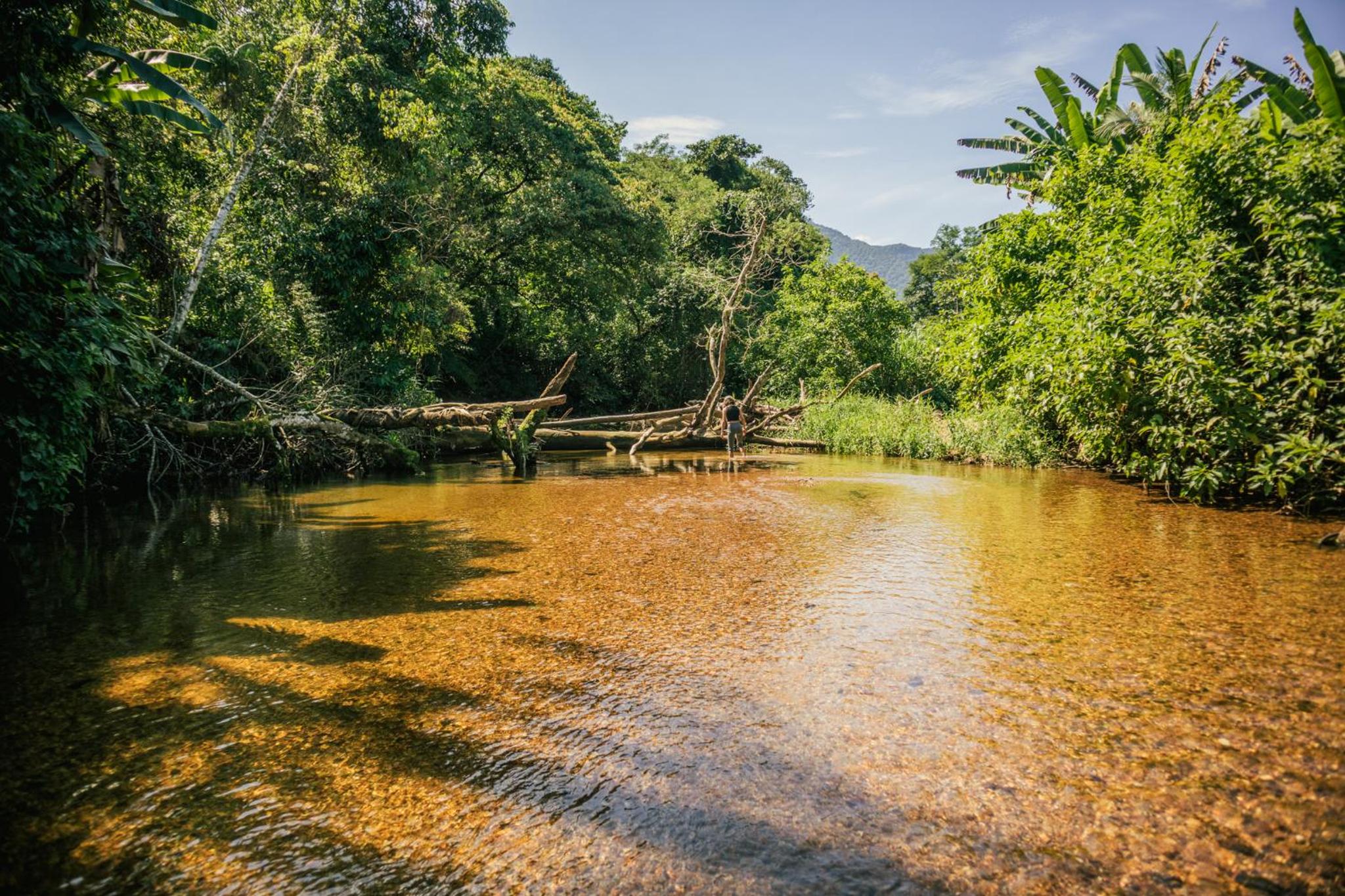 Banana Bamboo Ecolodge