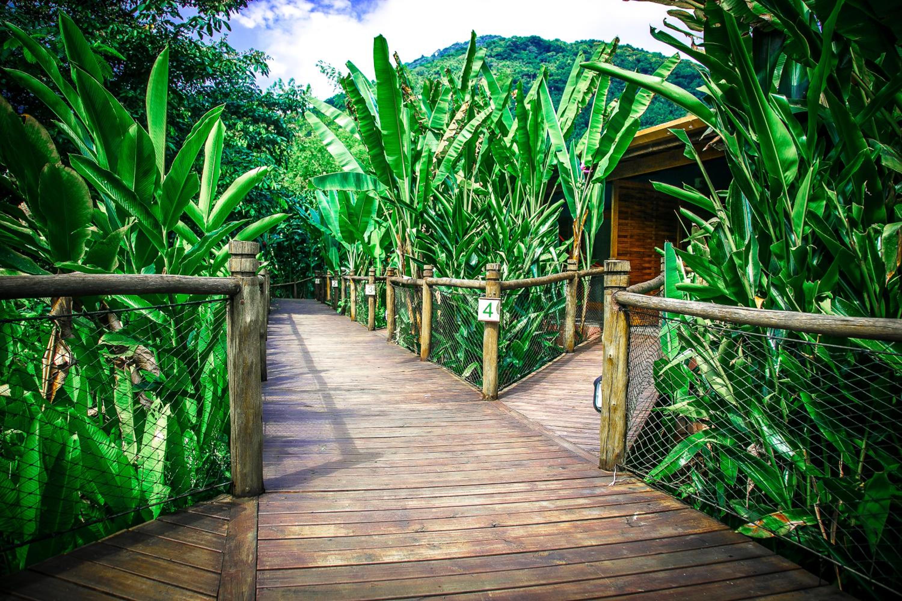 Banana Bamboo Ecolodge