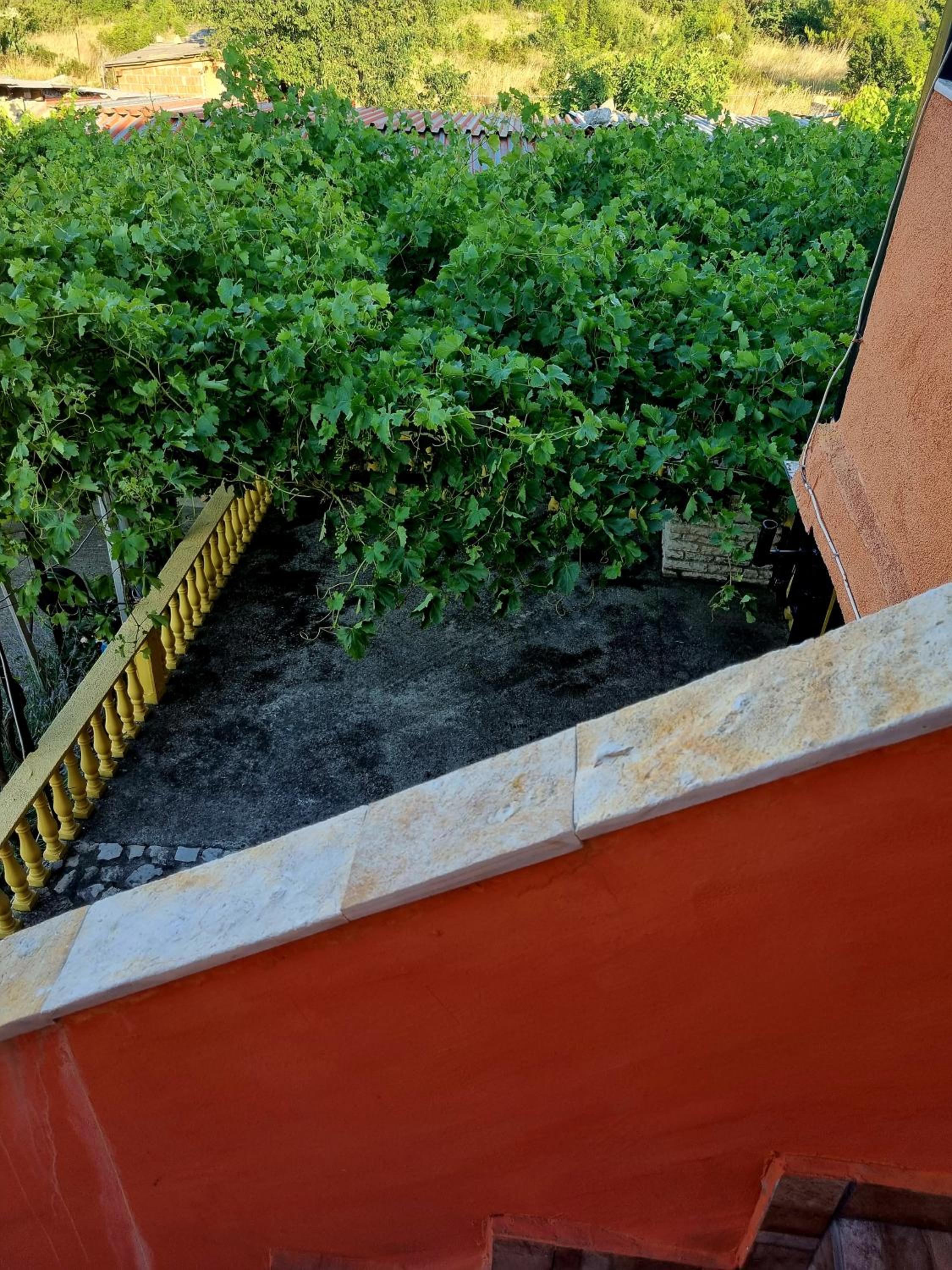 Jimis Apartmani