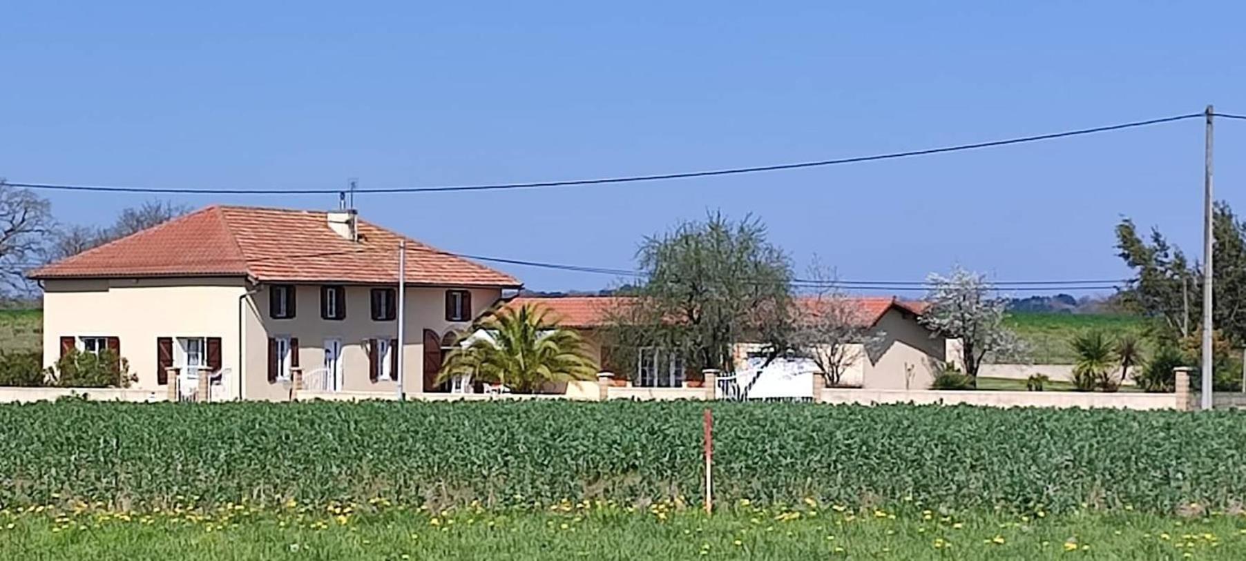 Photo 37