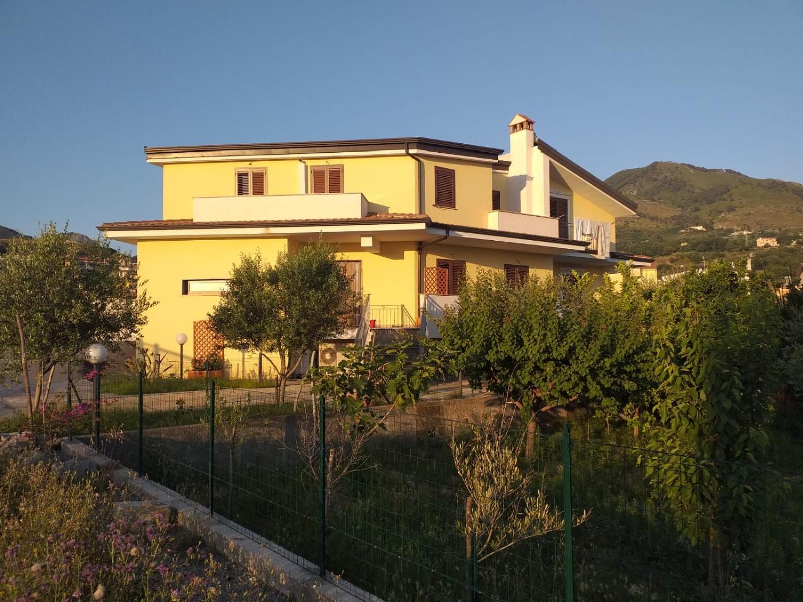 Photo 27