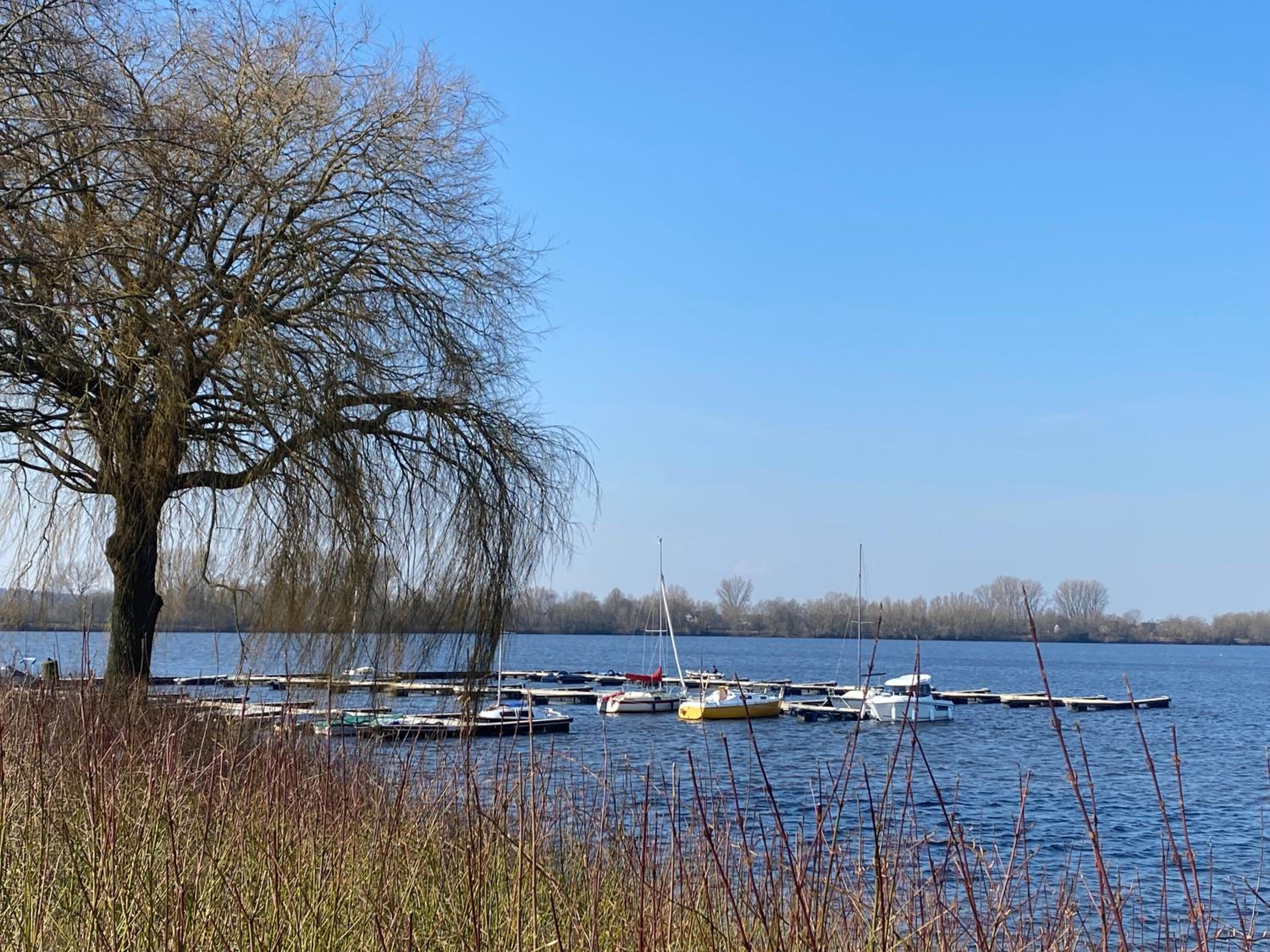 Ferienhaus Xantenamera in Xanten-Wardt am See