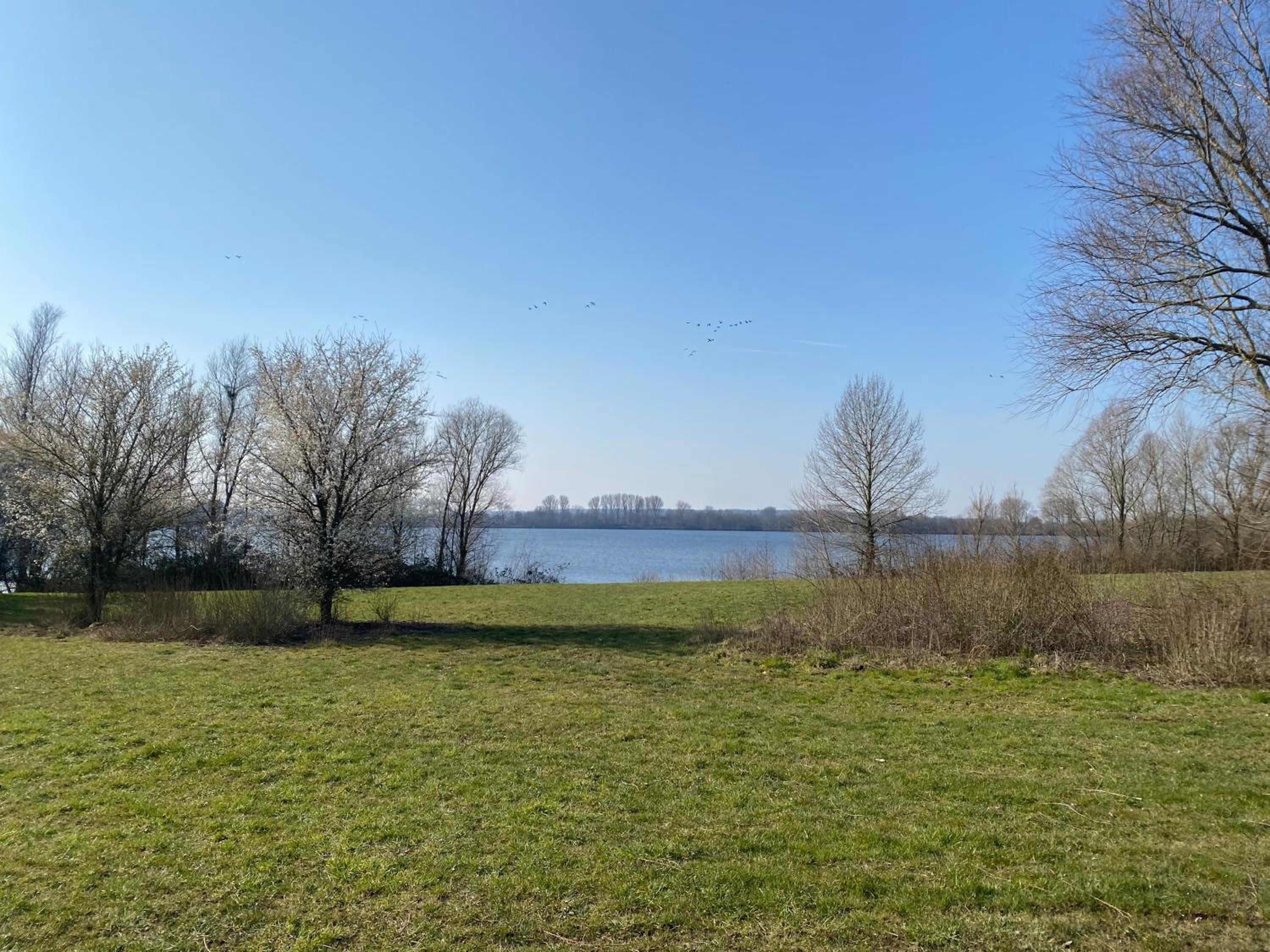 Ferienhaus Xantenamera in Xanten-Wardt am See