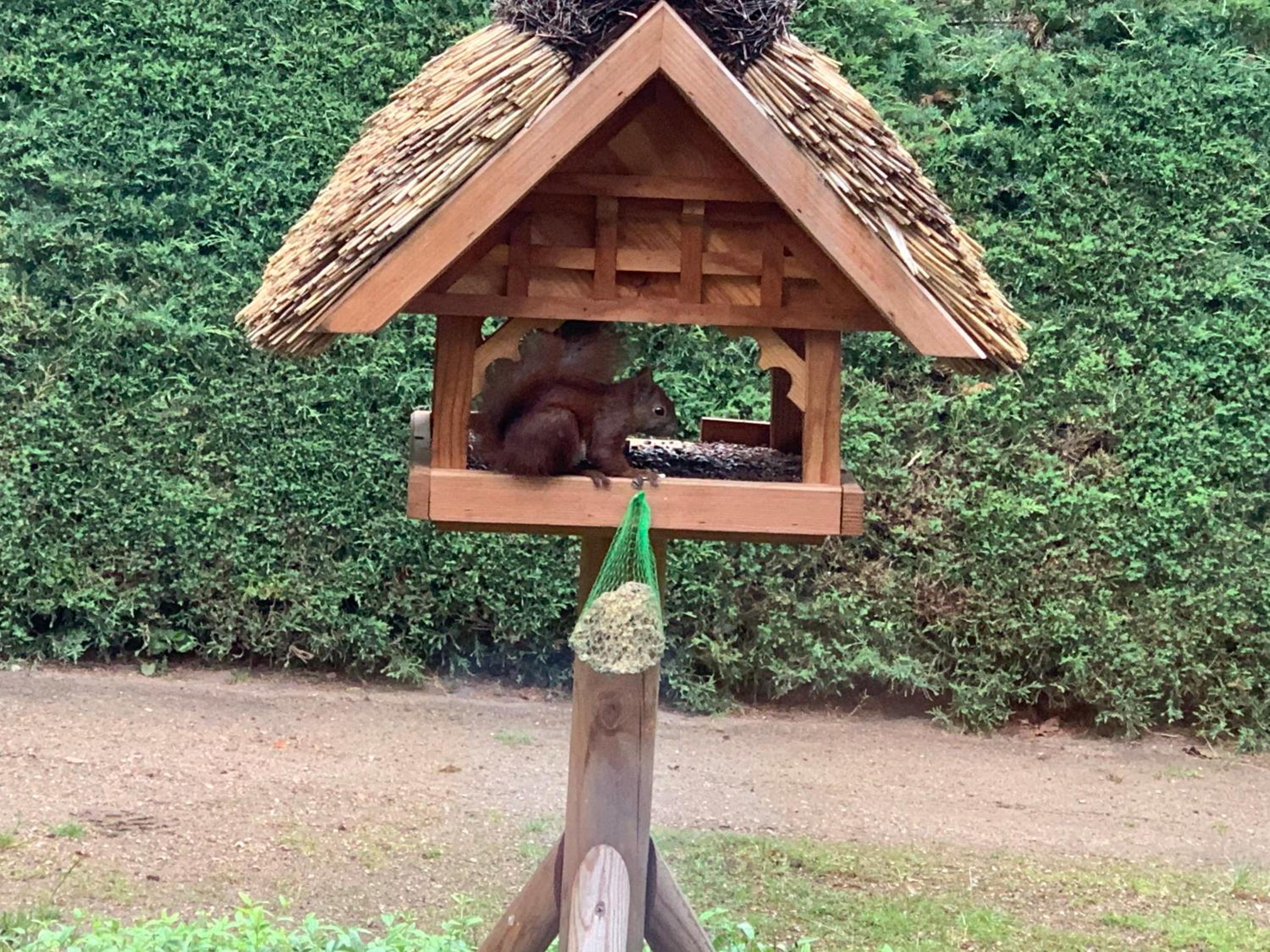 Ferienhaus unter Reet im Heidedorf Sankt Dionys bei Lüneburg
