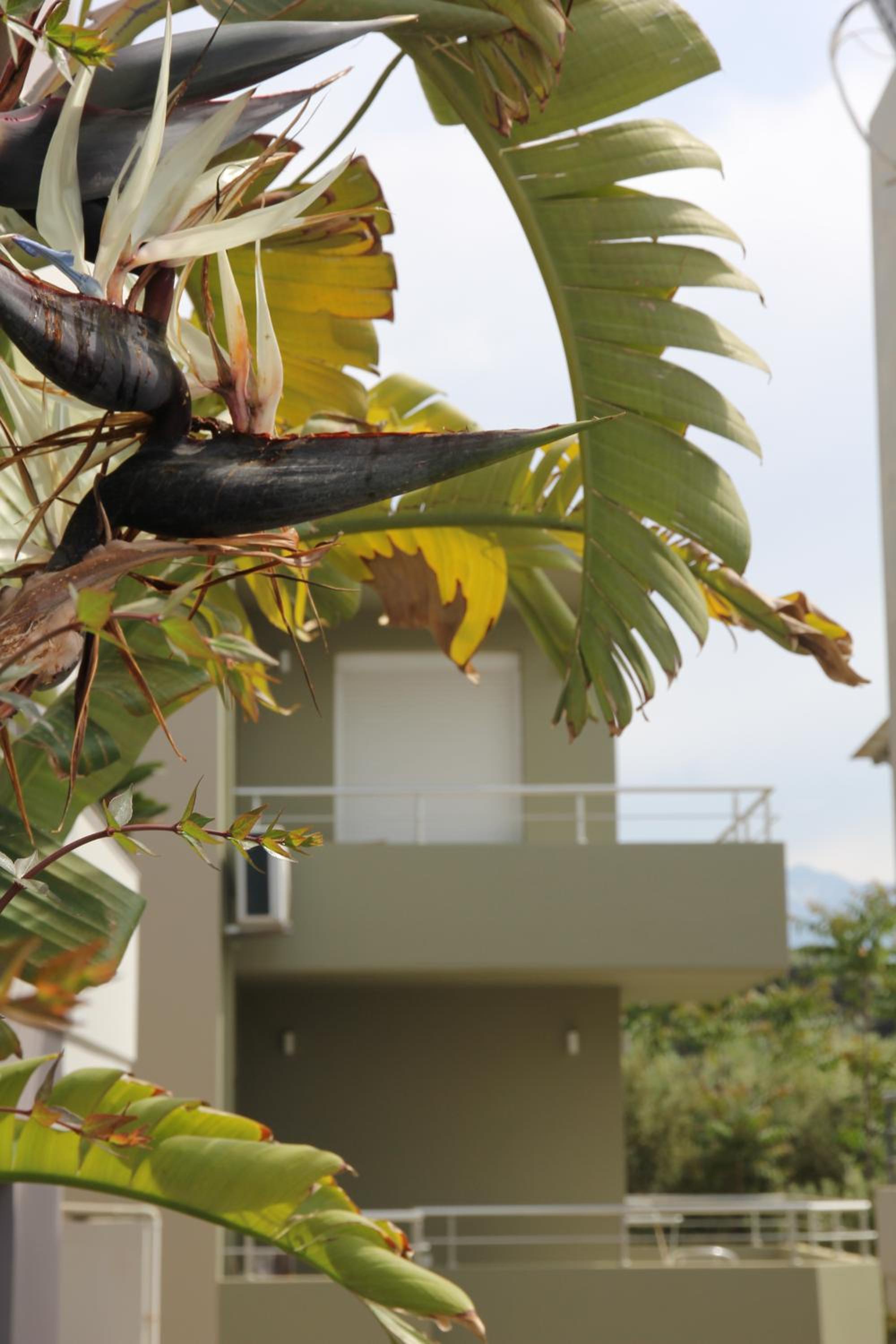 Kamares Apts - Cozy Maisonette view 5