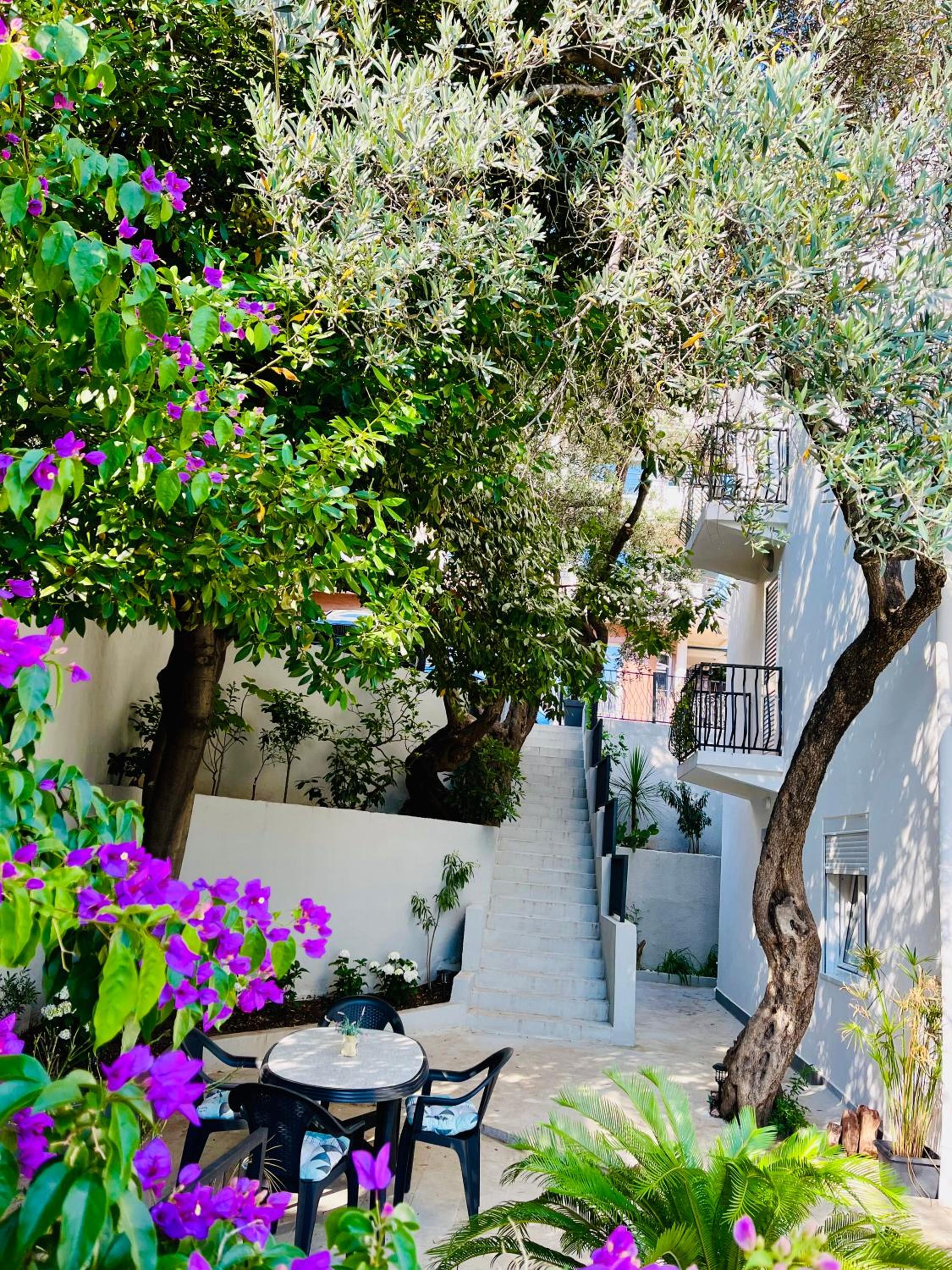 Villa Nemanja photo 2