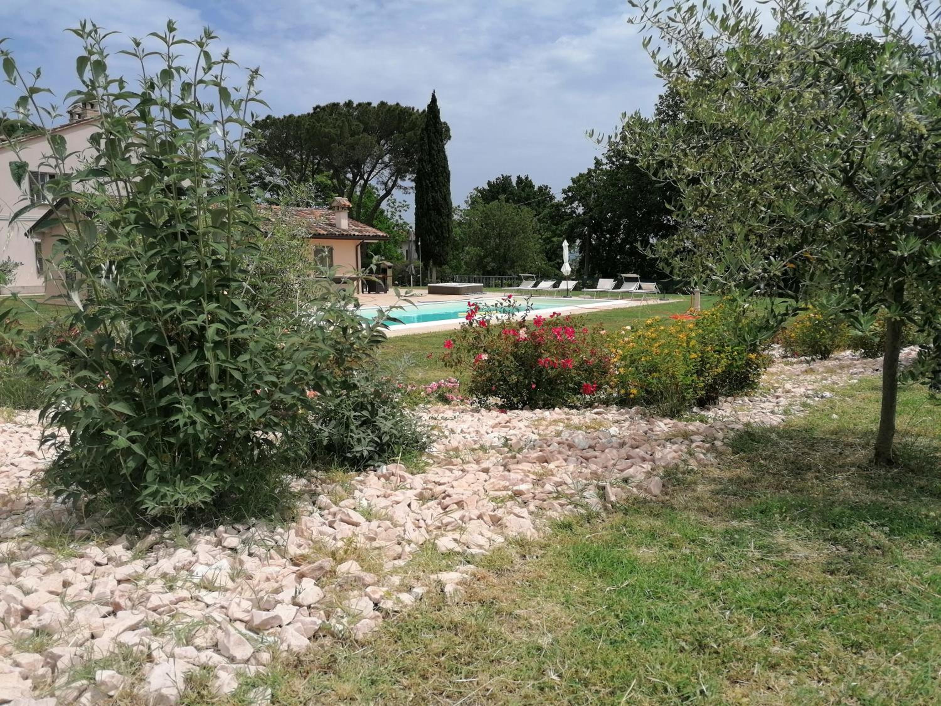 Photo 12