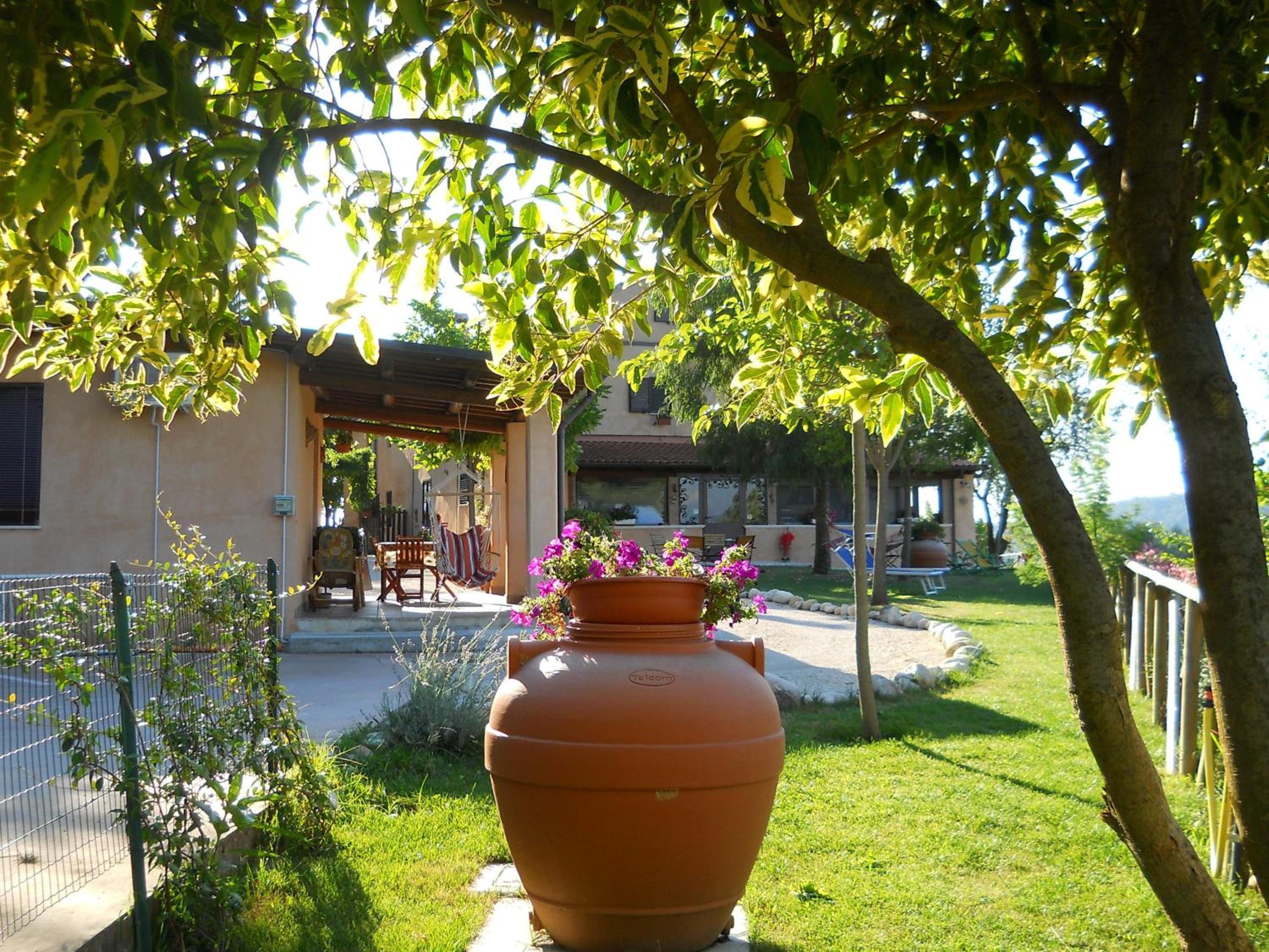 Photo 42