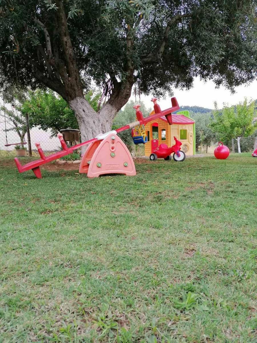Photo 21
