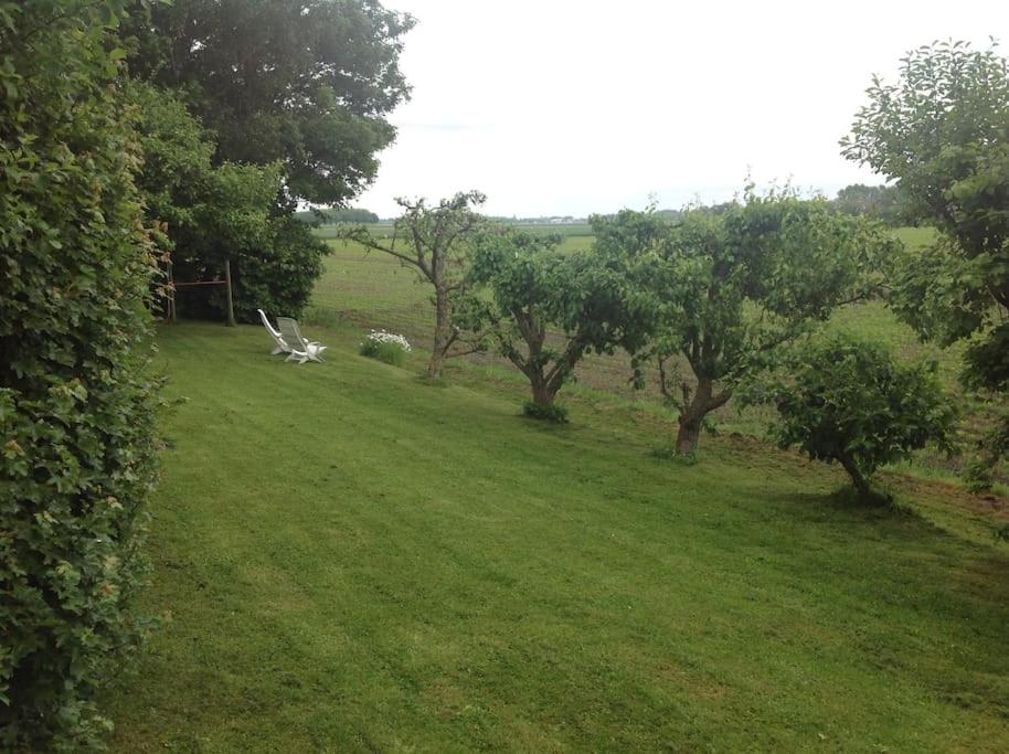 Photo 13